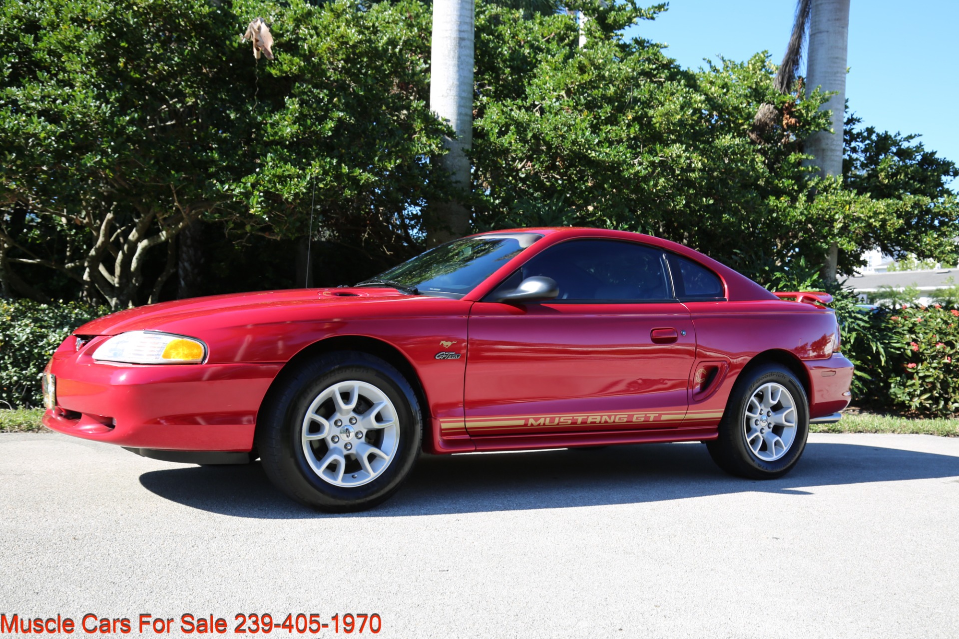 Used 1998 Ford Mustang GT for sale Sold at Muscle Cars for Sale Inc. in Fort Myers FL 33912 3
