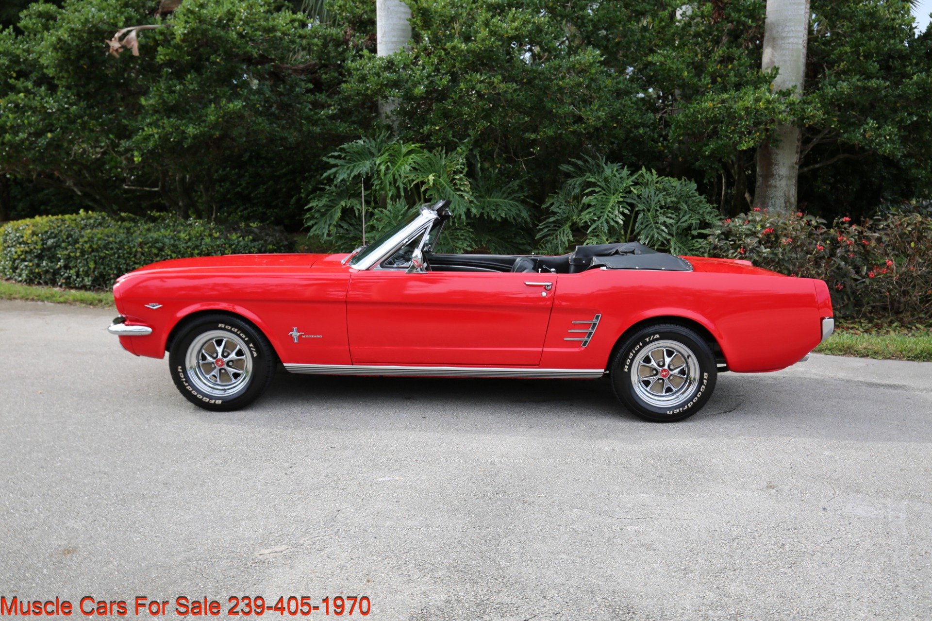 Used 1966 Ford Mustang Convertible for sale Sold at Muscle Cars for Sale Inc. in Fort Myers FL 33912 5