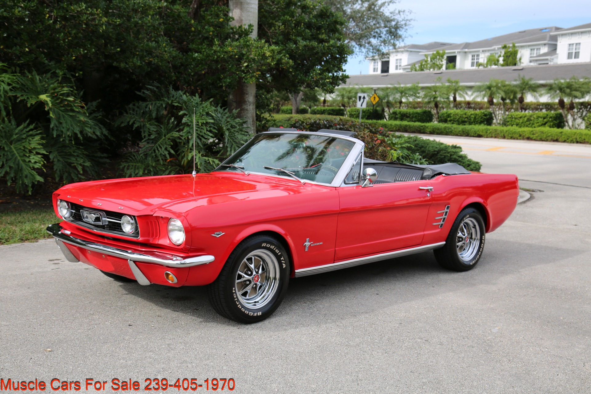 Used 1966 Ford Mustang Convertible for sale Sold at Muscle Cars for Sale Inc. in Fort Myers FL 33912 6