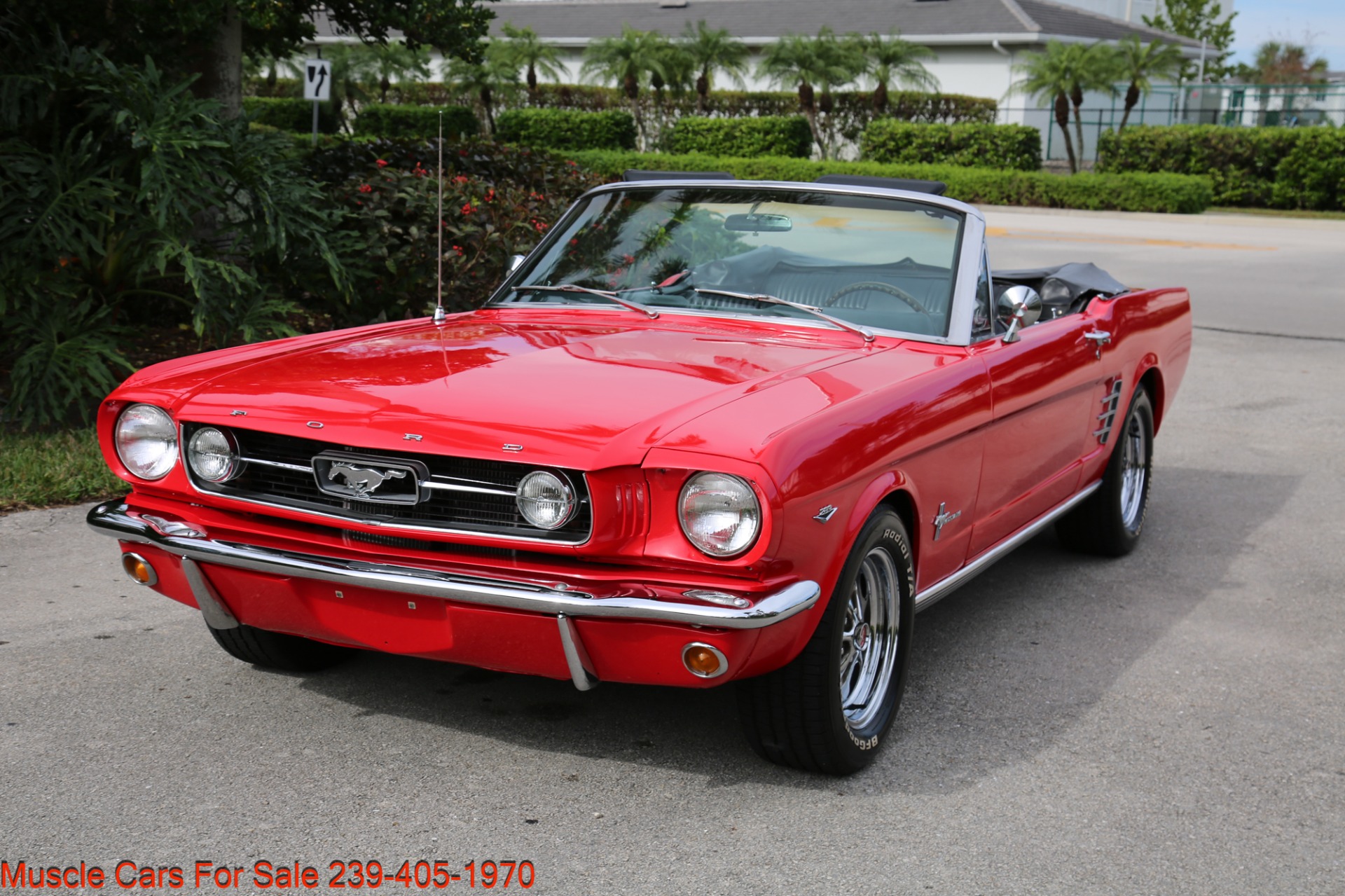 Used 1966 Ford Mustang Convertible for sale Sold at Muscle Cars for Sale Inc. in Fort Myers FL 33912 7