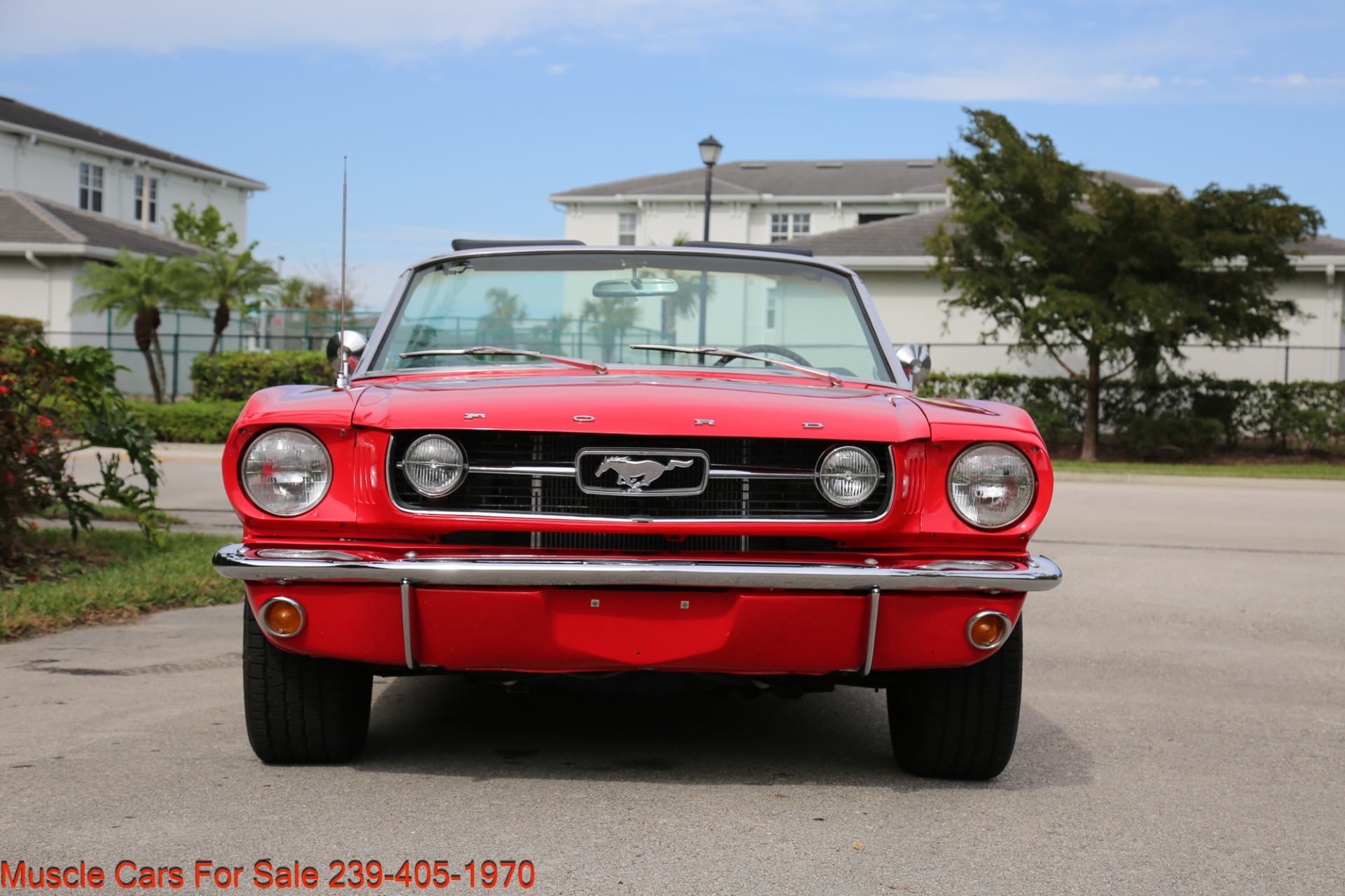 Used 1966 Ford Mustang Convertible for sale Sold at Muscle Cars for Sale Inc. in Fort Myers FL 33912 8
