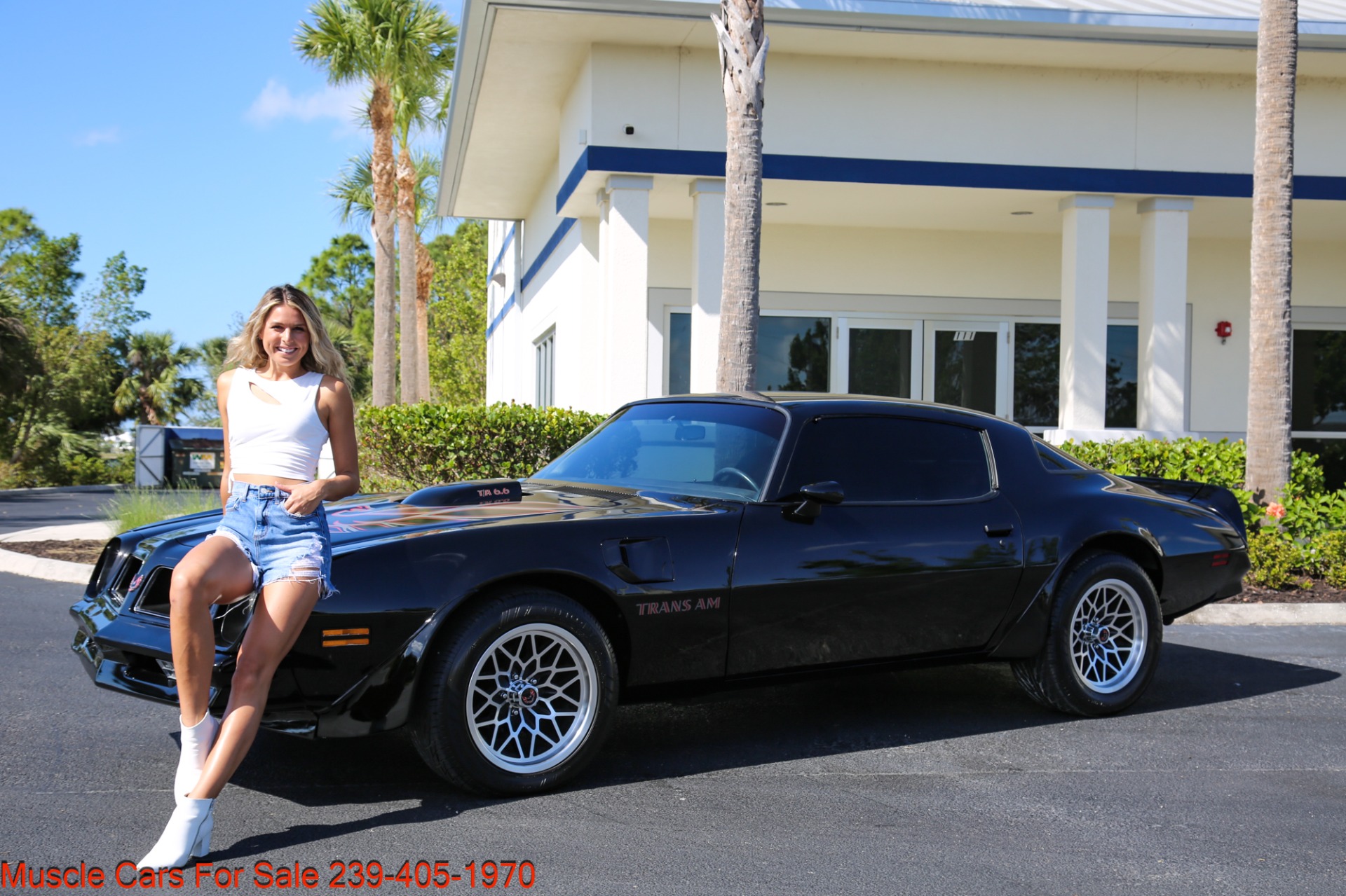 Used 1976 Pontiac Trans AM Trans Am 6.6 for sale Sold at Muscle Cars for Sale Inc. in Fort Myers FL 33912 2