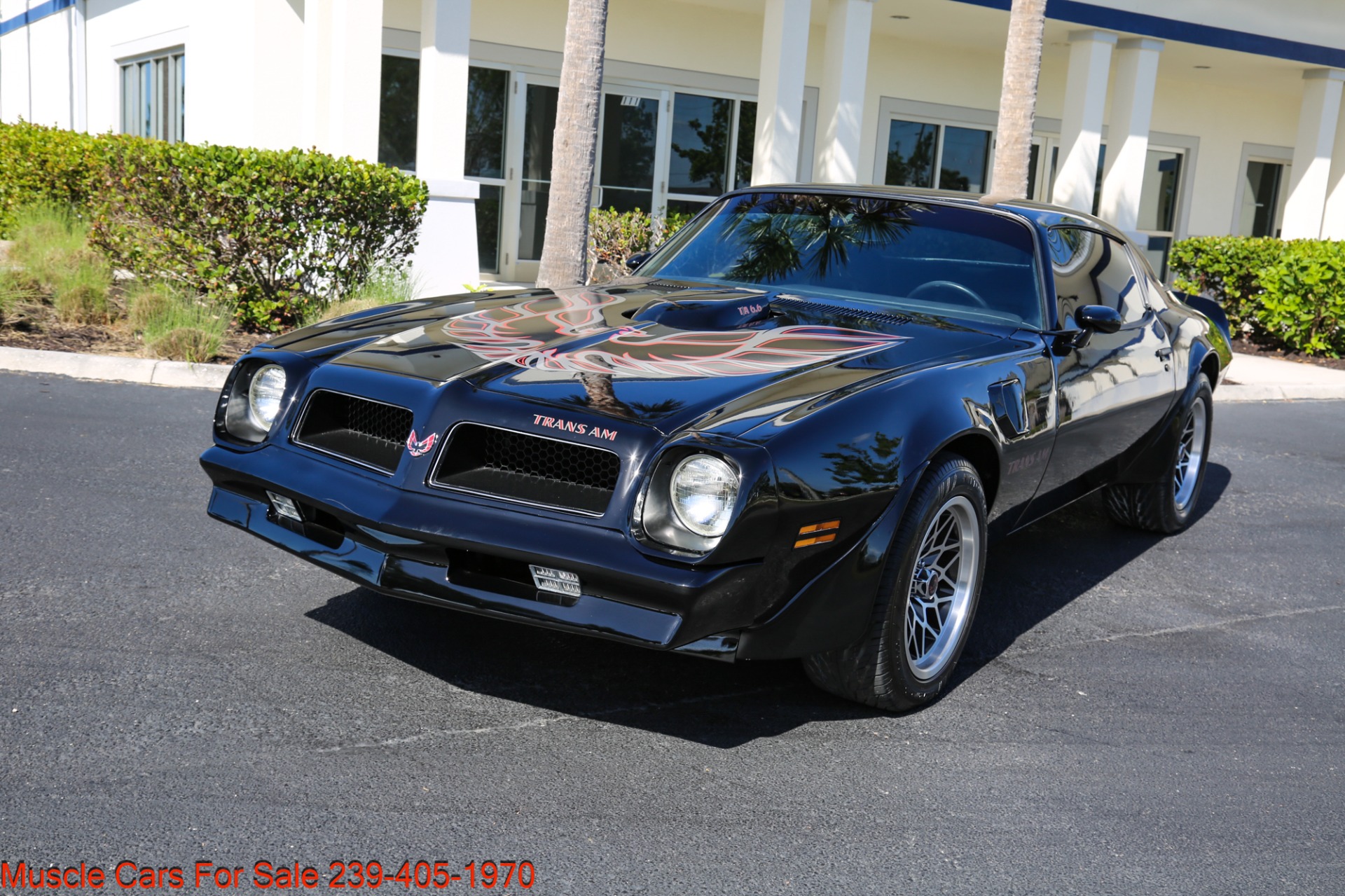 Used 1976 Pontiac Trans AM Trans Am 6.6 for sale Sold at Muscle Cars for Sale Inc. in Fort Myers FL 33912 3