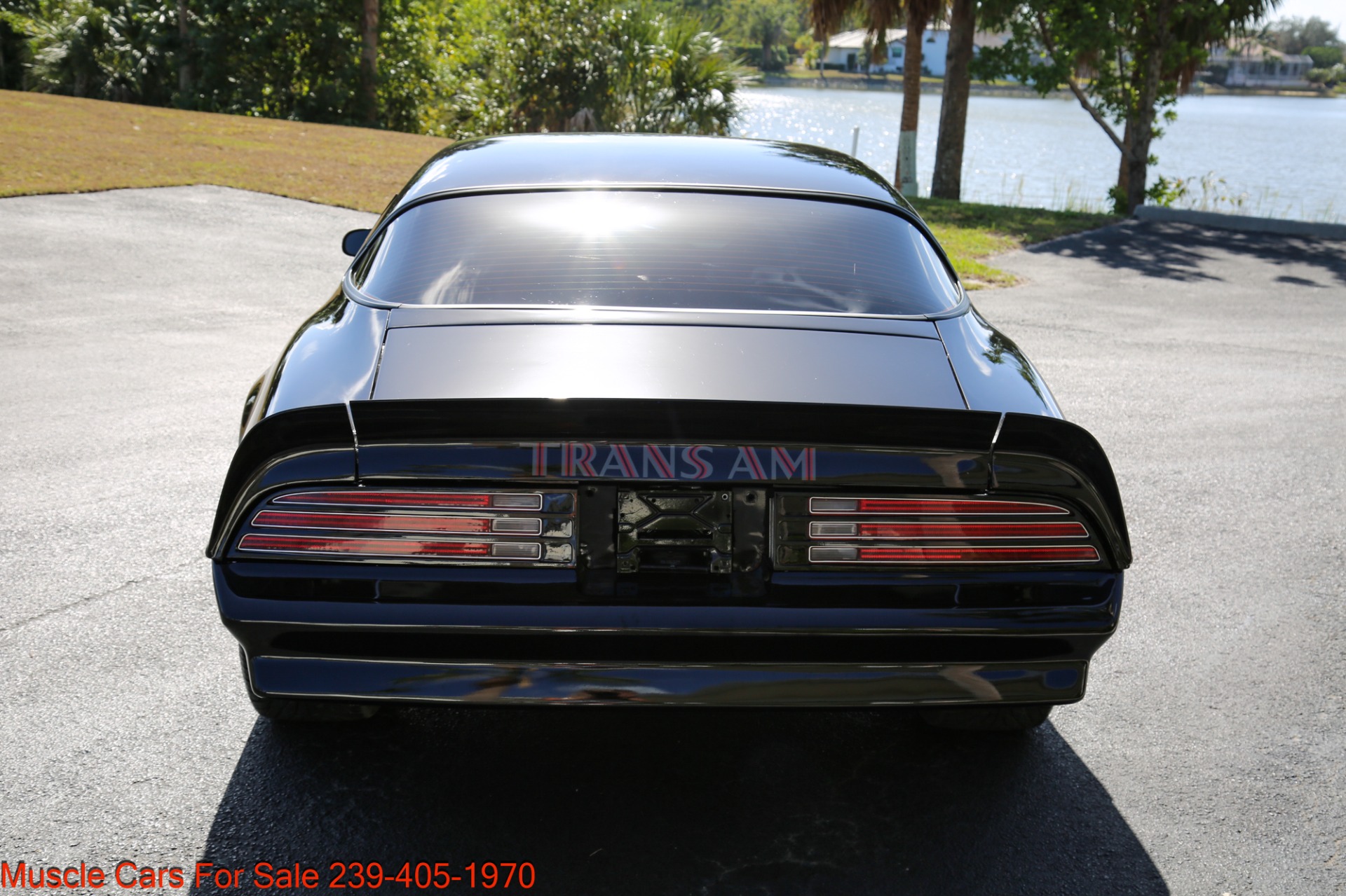 Used 1976 Pontiac Trans AM Trans Am 6.6 for sale Sold at Muscle Cars for Sale Inc. in Fort Myers FL 33912 6