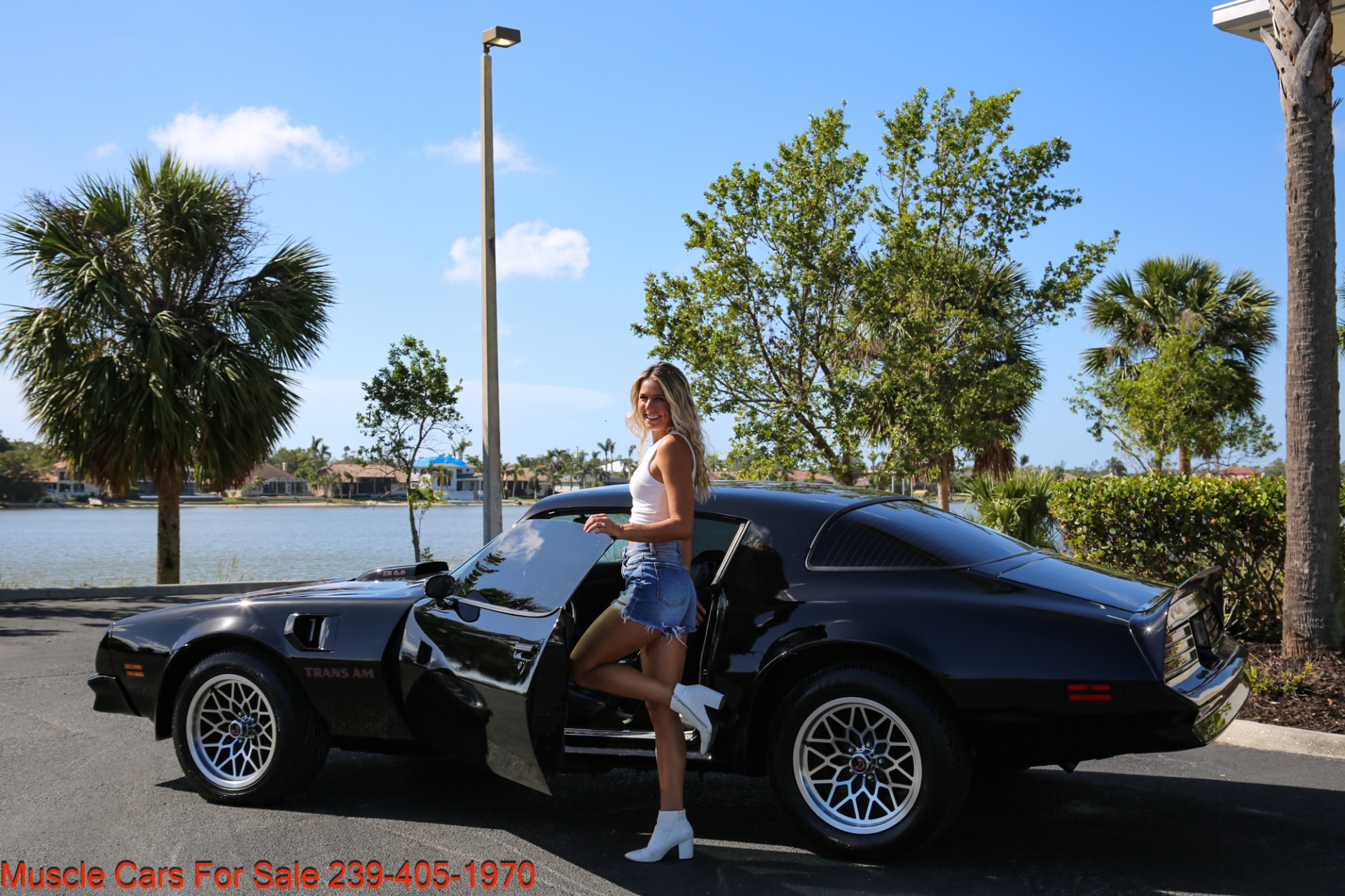 Used 1976 Pontiac Trans AM Trans Am 6.6 for sale Sold at Muscle Cars for Sale Inc. in Fort Myers FL 33912 7