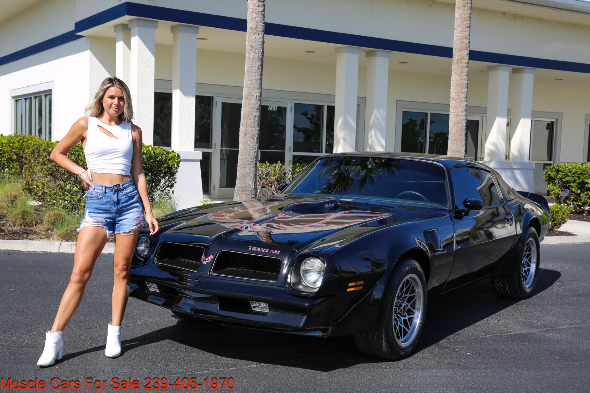Used 1976 Pontiac Trans AM Trans Am 6.6 for sale Sold at Muscle Cars for Sale Inc. in Fort Myers FL 33912 8