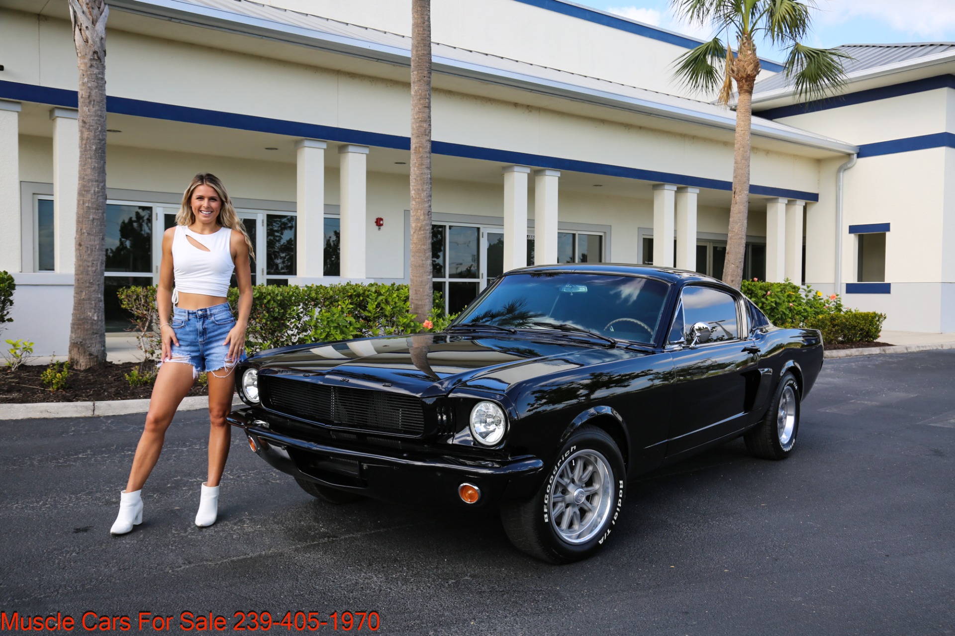 Used 1966 Ford Mustang V8 mANUAL for sale Sold at Muscle Cars for Sale Inc. in Fort Myers FL 33912 2
