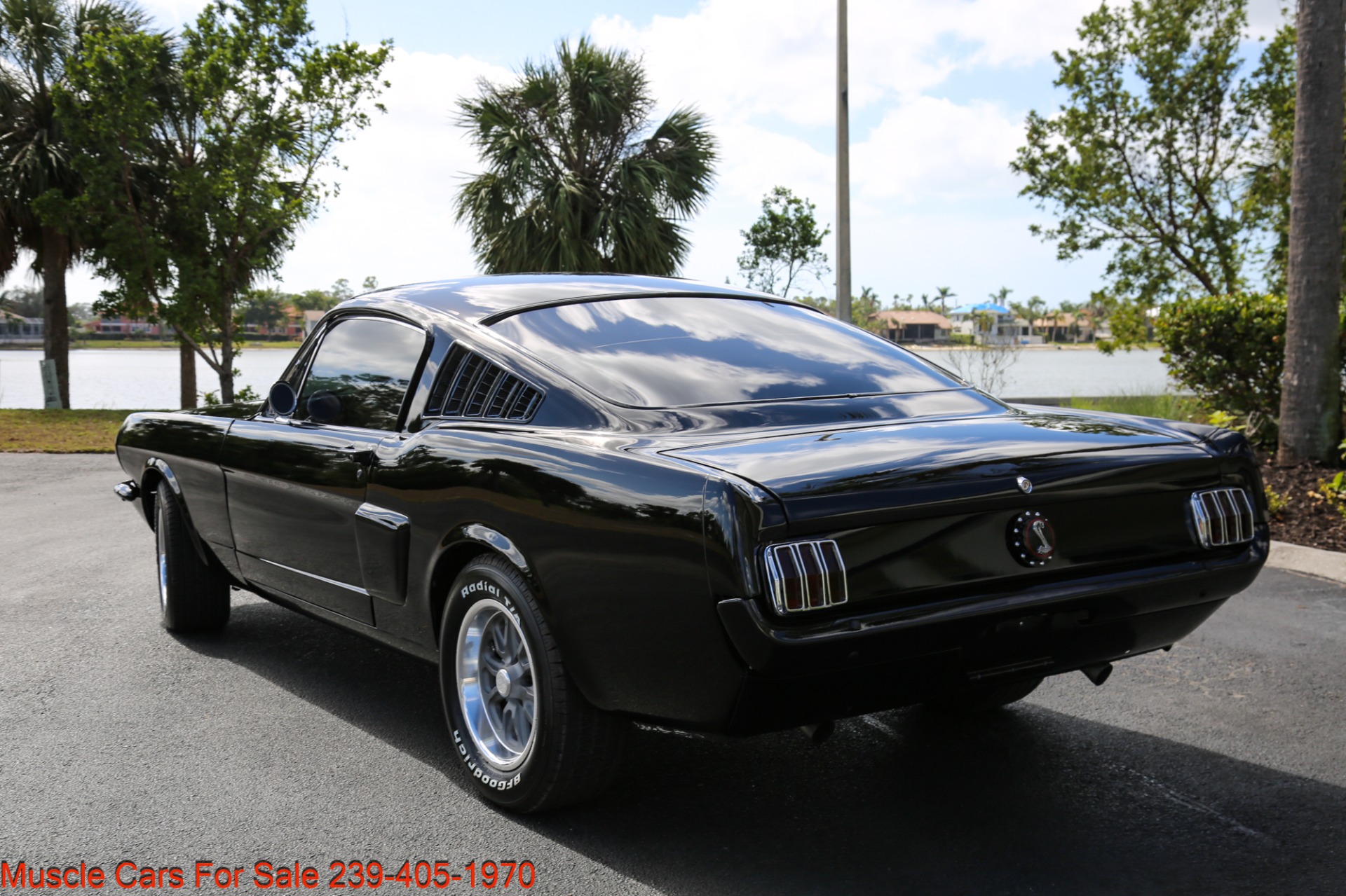 Used 1966 Ford Mustang V8 mANUAL for sale Sold at Muscle Cars for Sale Inc. in Fort Myers FL 33912 4
