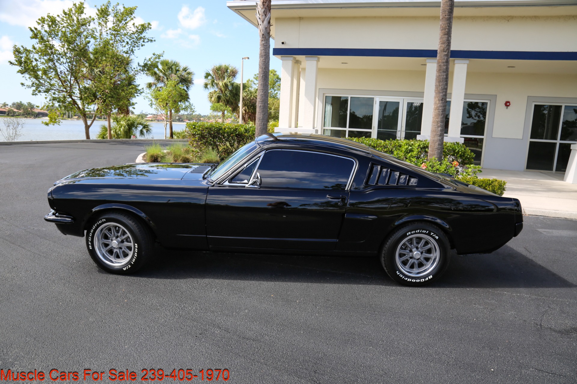 Used 1966 Ford Mustang V8 mANUAL for sale Sold at Muscle Cars for Sale Inc. in Fort Myers FL 33912 5