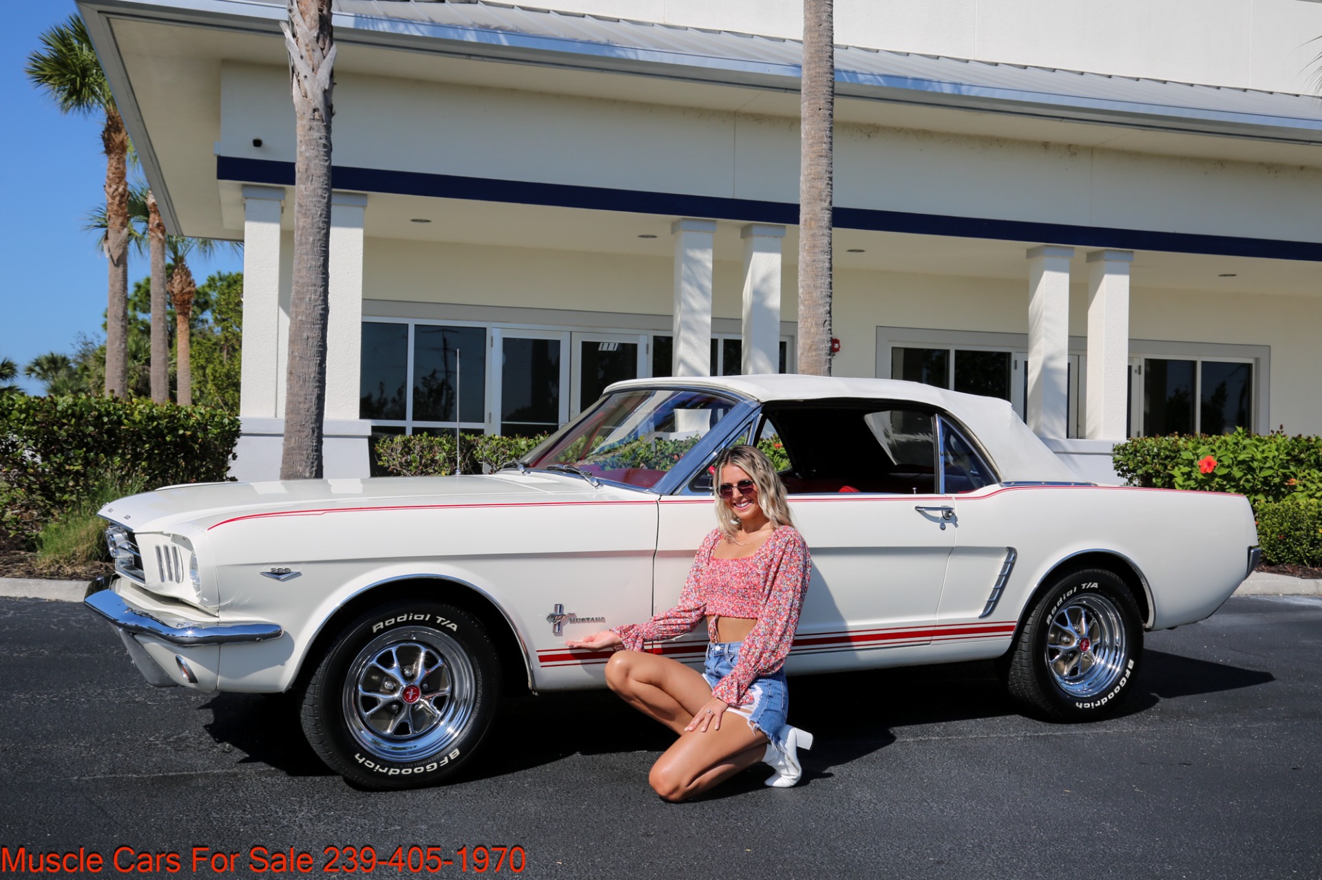 Used 1965 Ford Mustang V8 Auto for sale Sold at Muscle Cars for Sale Inc. in Fort Myers FL 33912 2