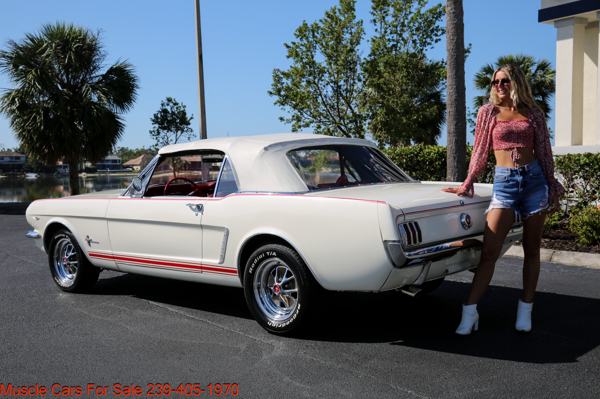 Used 1965 Ford Mustang V8 Auto for sale Sold at Muscle Cars for Sale Inc. in Fort Myers FL 33912 3