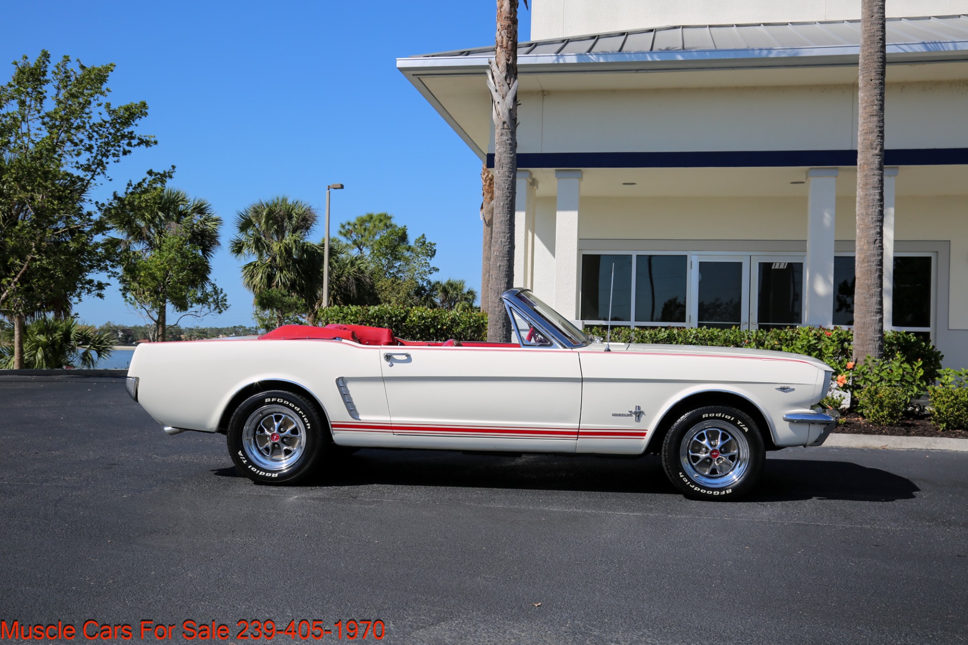 Used 1965 Ford Mustang V8 Auto for sale Sold at Muscle Cars for Sale Inc. in Fort Myers FL 33912 7