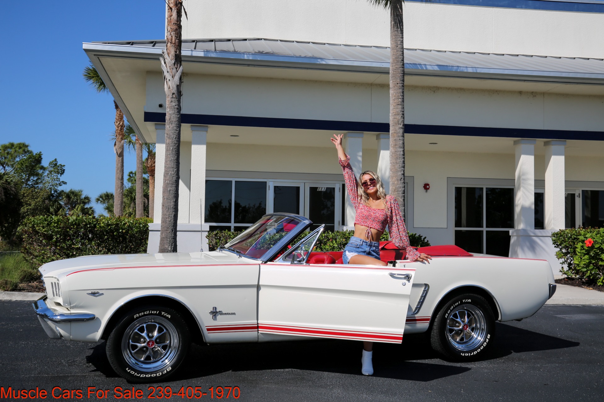 Used 1965 Ford Mustang V8 Auto for sale Sold at Muscle Cars for Sale Inc. in Fort Myers FL 33912 1