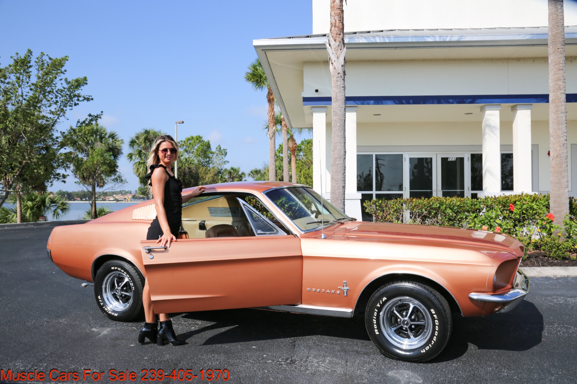 Used 1967 Ford Mustang Fastback Fastback V8 Auto for sale Sold at Muscle Cars for Sale Inc. in Fort Myers FL 33912 3