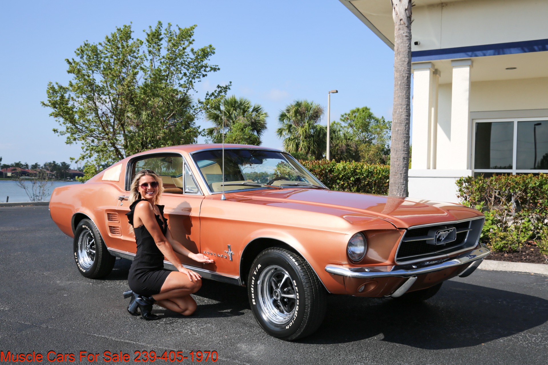 Used 1967 Ford Mustang Fastback Fastback V8 Auto for sale Sold at Muscle Cars for Sale Inc. in Fort Myers FL 33912 4