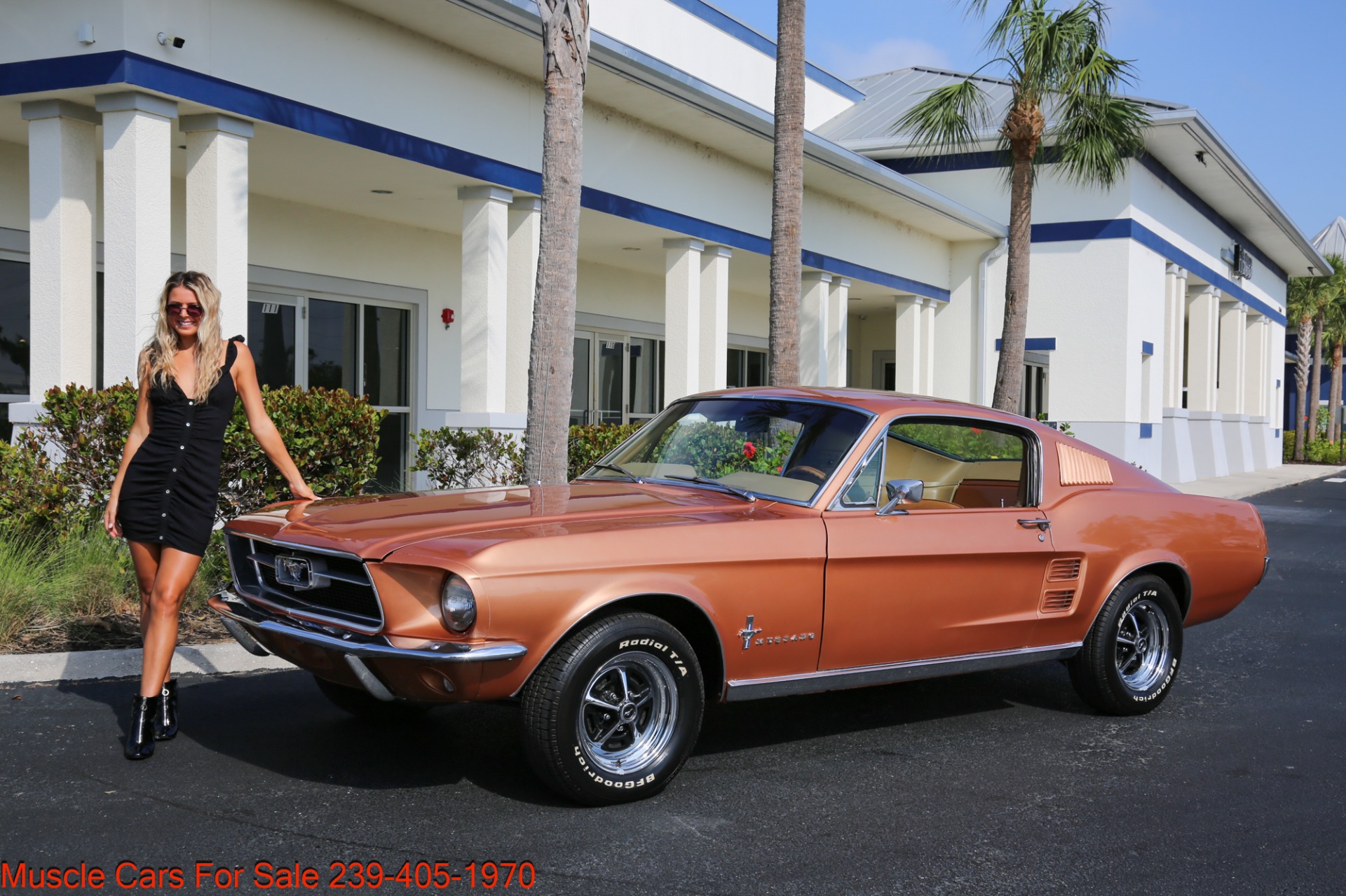 Used 1967 Ford Mustang Fastback Fastback V8 Auto for sale Sold at Muscle Cars for Sale Inc. in Fort Myers FL 33912 5