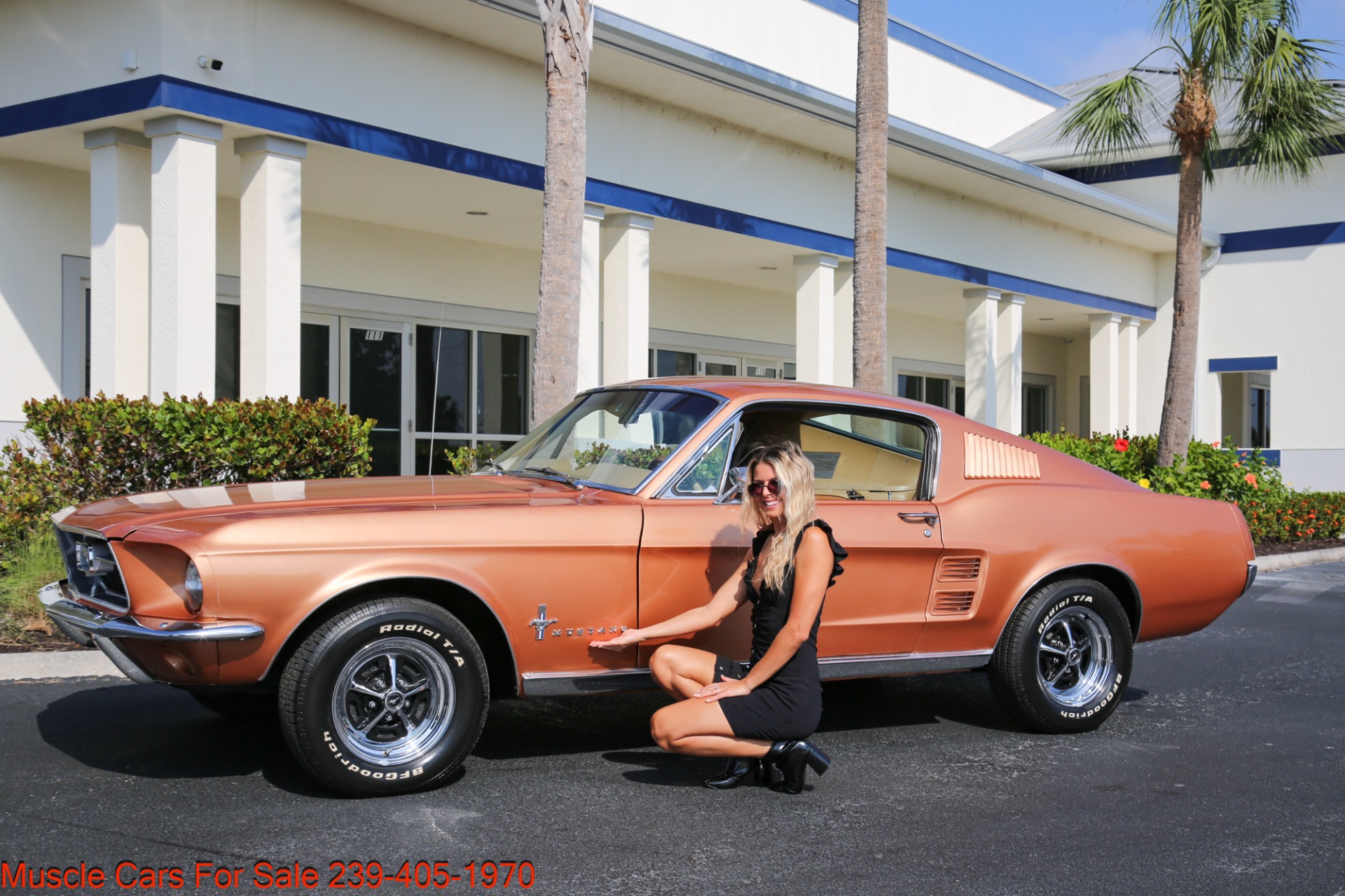 Used 1967 Ford Mustang Fastback Fastback V8 Auto for sale $49,700 at Muscle Cars for Sale Inc. in Fort Myers FL 33912 1