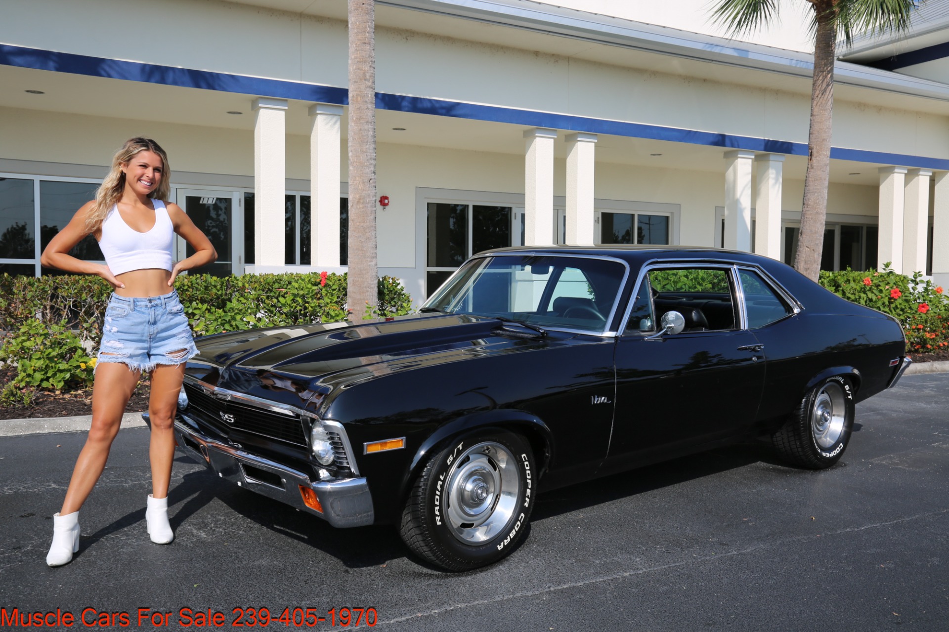 Used 1971 Chevrolet Nova V8 Auto for sale Sold at Muscle Cars for Sale Inc. in Fort Myers FL 33912 1