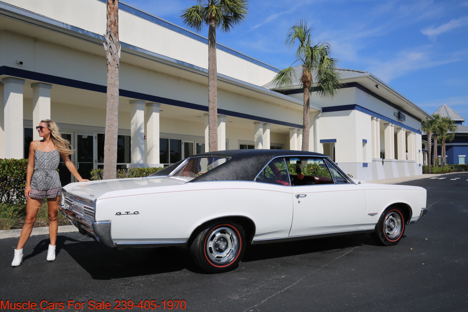 Used 1966 Pontiac GTO GTO TRI POWER for sale Sold at Muscle Cars for Sale Inc. in Fort Myers FL 33912 3