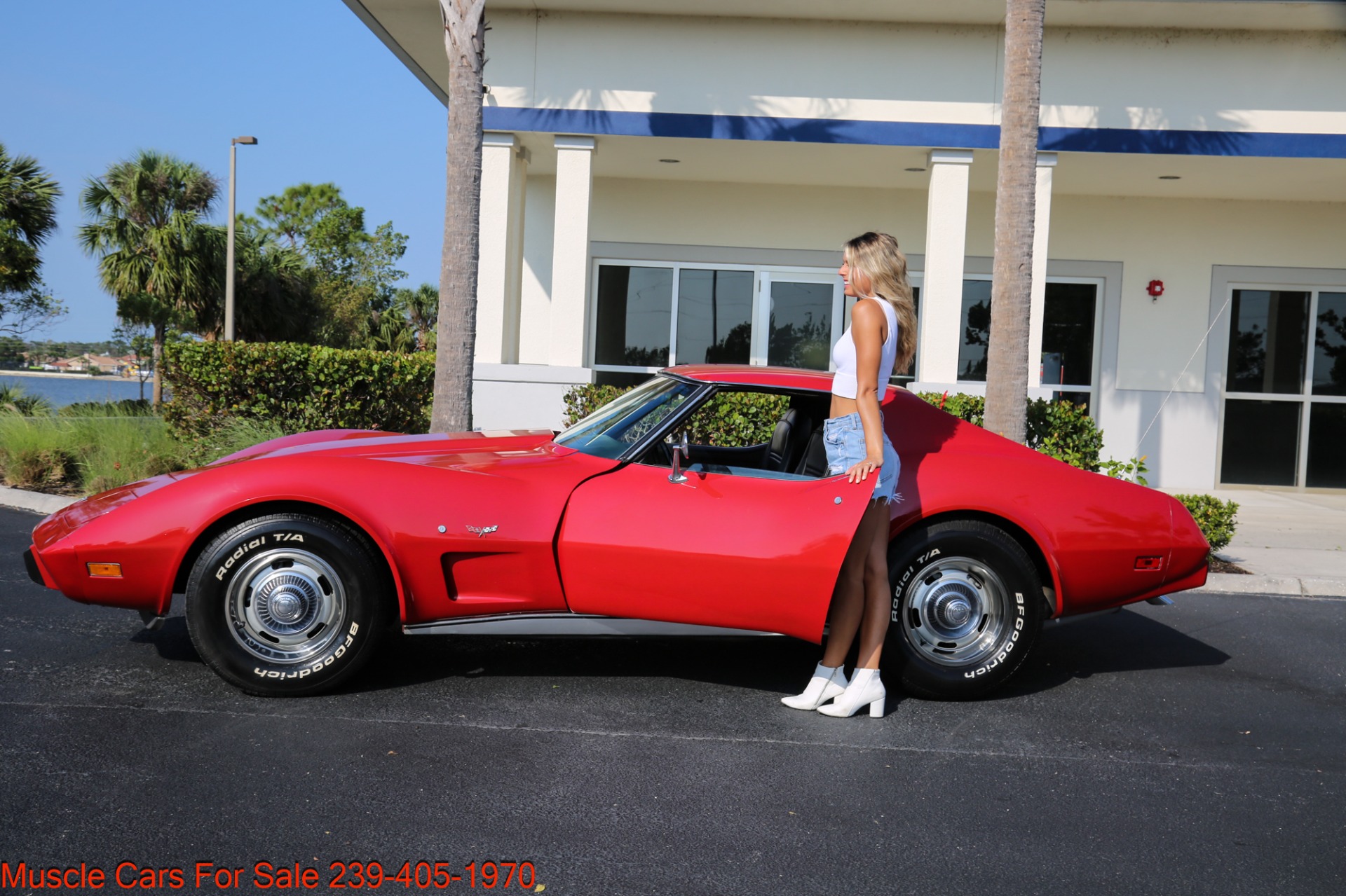 Used 1977 Chevrolet Corvette V8 Auto for sale Sold at Muscle Cars for Sale Inc. in Fort Myers FL 33912 2