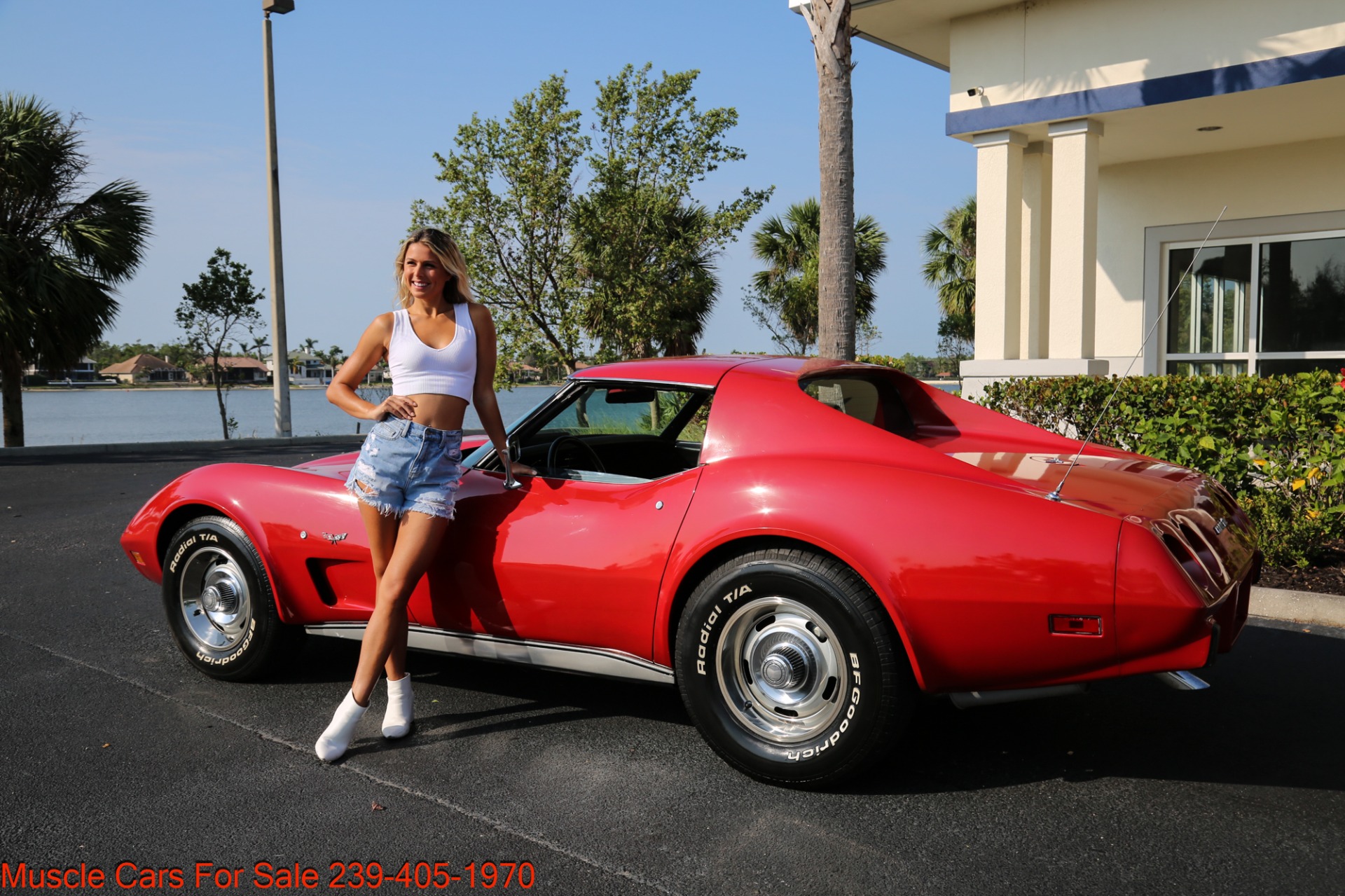 Used 1977 Chevrolet Corvette V8 Auto for sale Sold at Muscle Cars for Sale Inc. in Fort Myers FL 33912 3