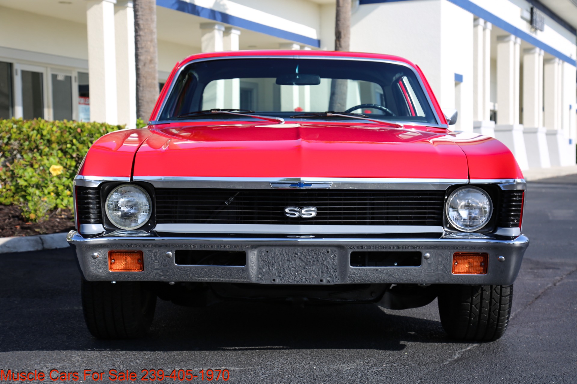 Used 1971 Chevrolet Nova V8 Auto for sale Sold at Muscle Cars for Sale Inc. in Fort Myers FL 33912 2