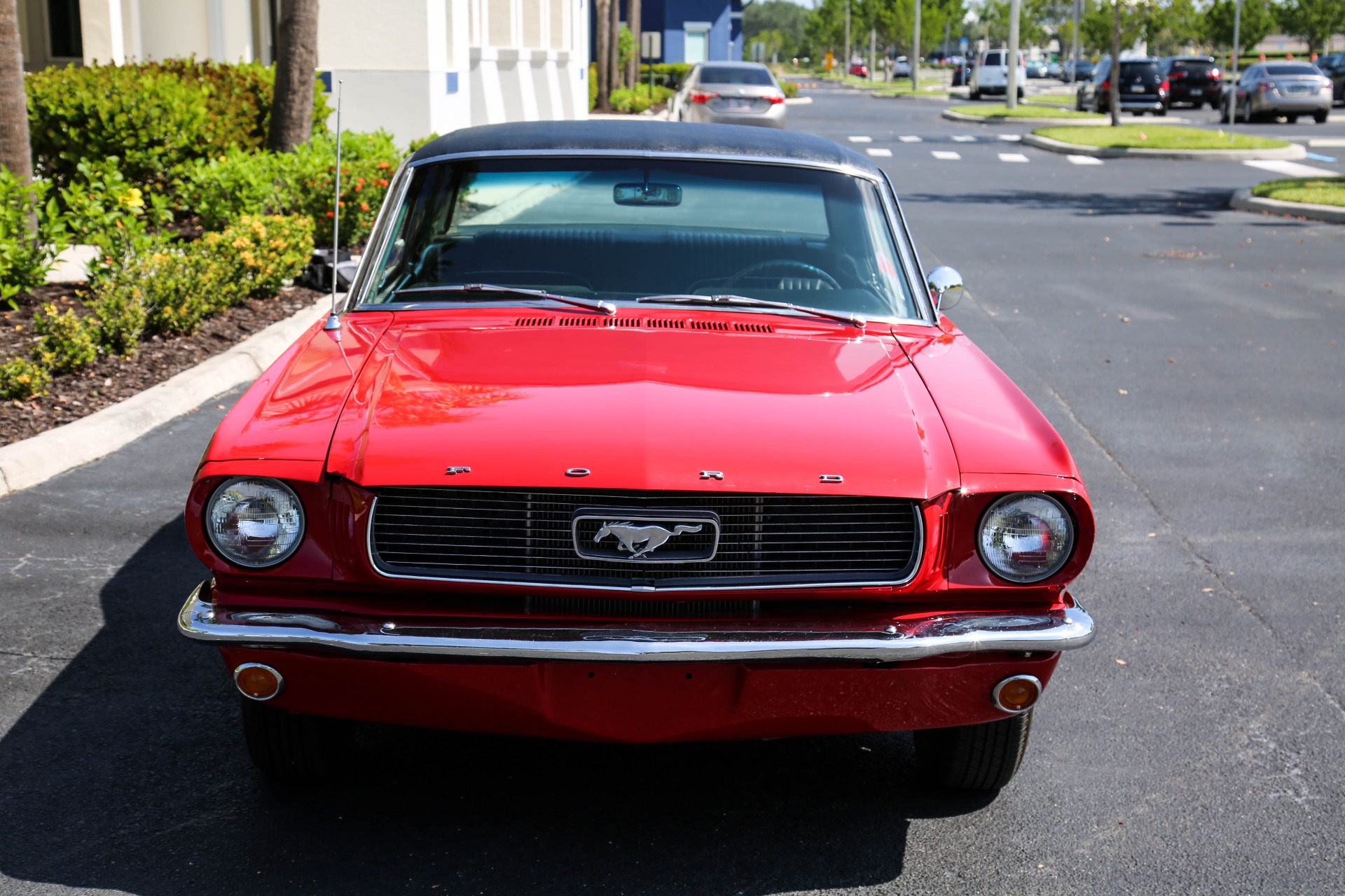 Used 1966 Ford Mustang C Code V8 Manual for sale $25,500 at Muscle Cars for Sale Inc. in Fort Myers FL 33912 5