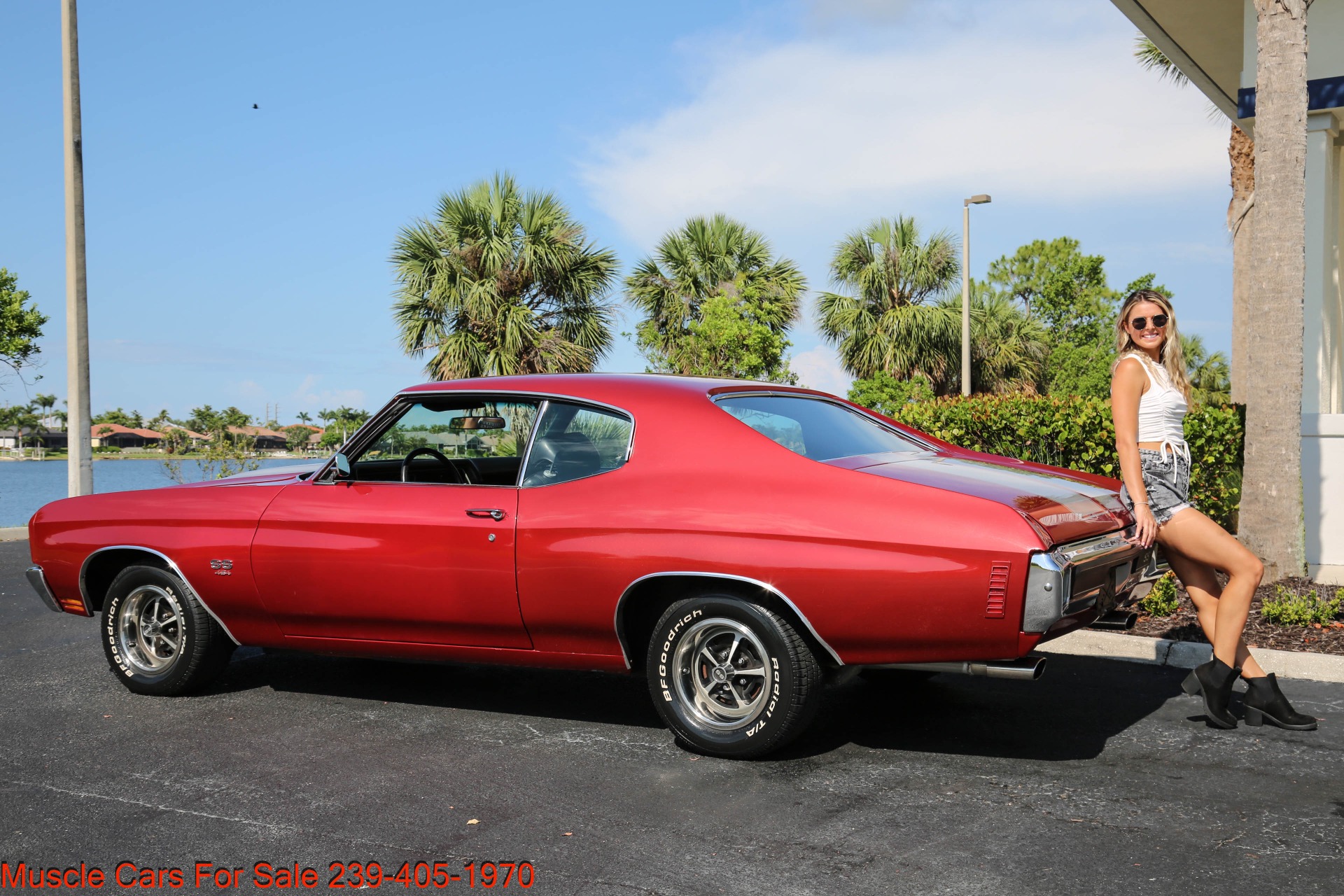 Used 1970 Chevrolet Chevelle SS SS for sale Sold at Muscle Cars for Sale Inc. in Fort Myers FL 33912 3