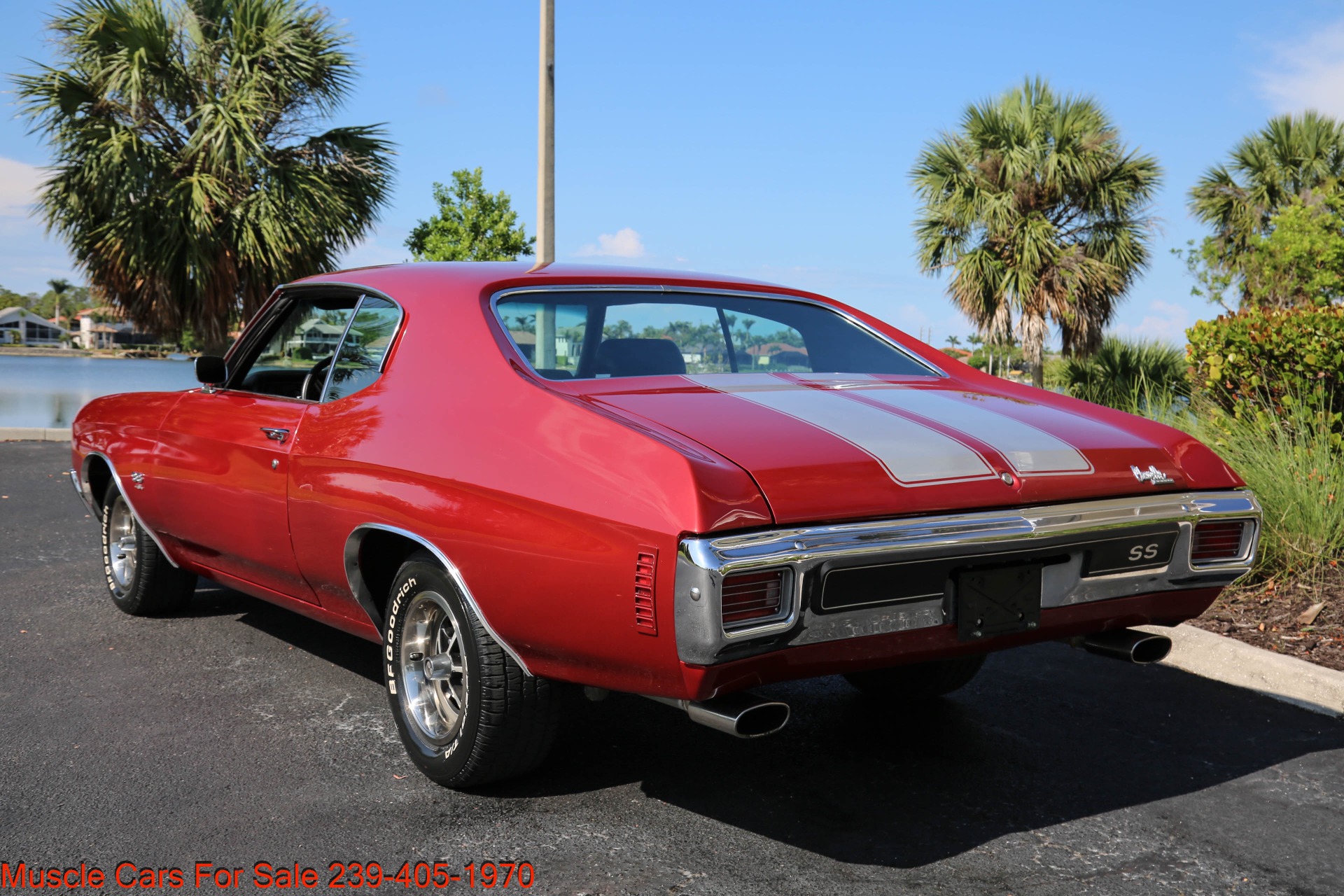 Used 1970 Chevrolet Chevelle SS SS for sale Sold at Muscle Cars for Sale Inc. in Fort Myers FL 33912 6