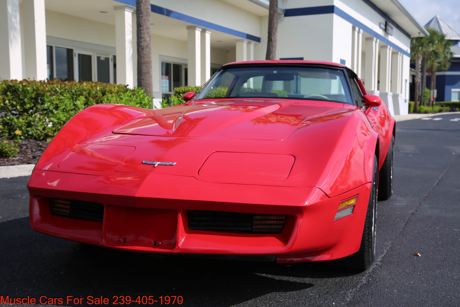 Used 1980 Chevrolet Corvette L82 for sale Sold at Muscle Cars for Sale Inc. in Fort Myers FL 33912 3