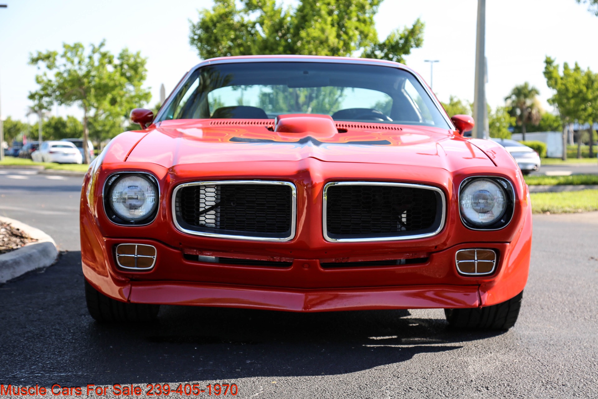 Used 1972 Pontiac FireBird Trans Am Trim 455 for sale $41,000 at Muscle Cars for Sale Inc. in Fort Myers FL 33912 3