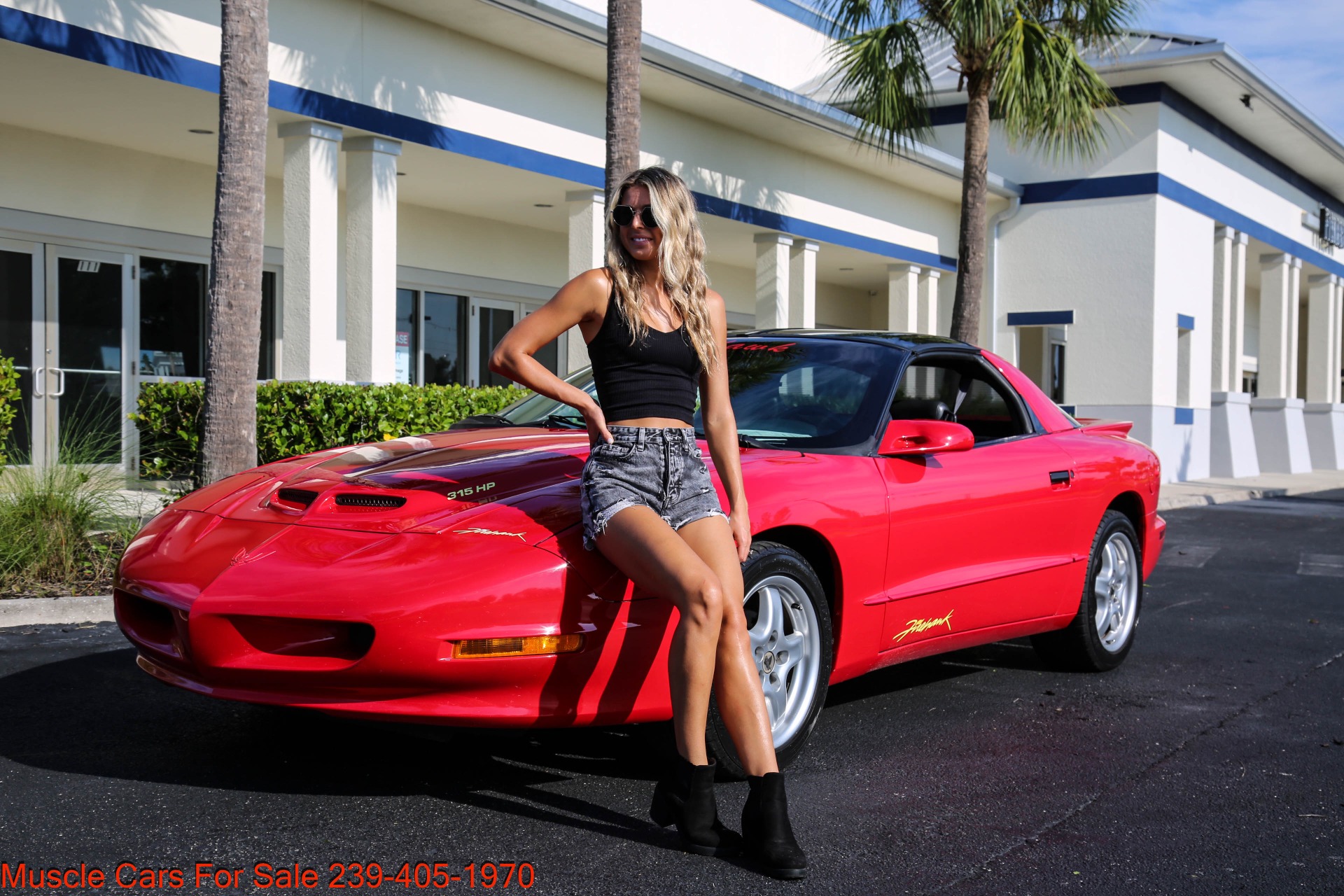Used 1995 Pontiac Firebird FireHawk Fire Hawk for sale $21,000 at Muscle Cars for Sale Inc. in Fort Myers FL 33912 2