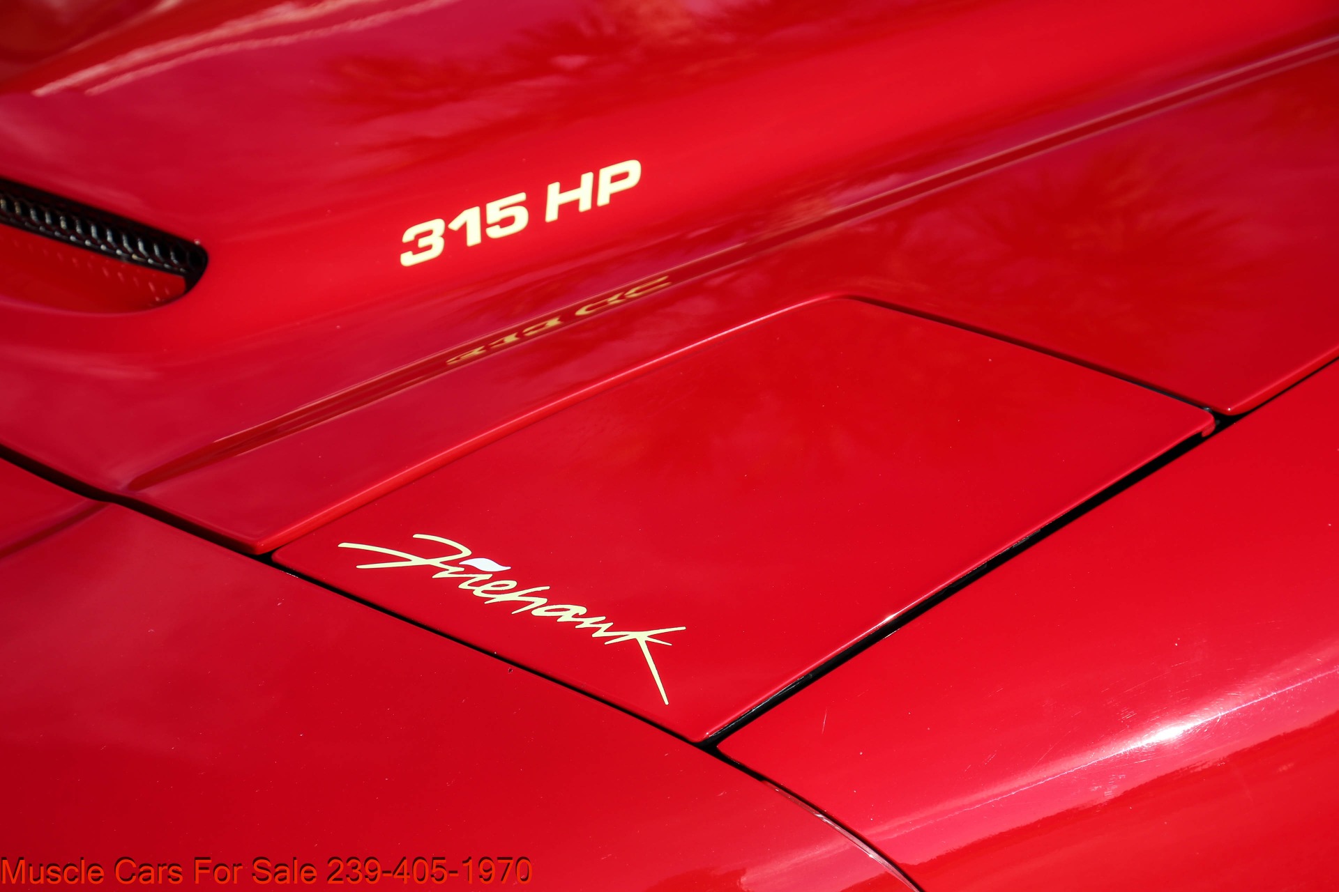 Used 1995 Pontiac Firebird FireHawk Fire Hawk for sale Sold at Muscle Cars for Sale Inc. in Fort Myers FL 33912 6