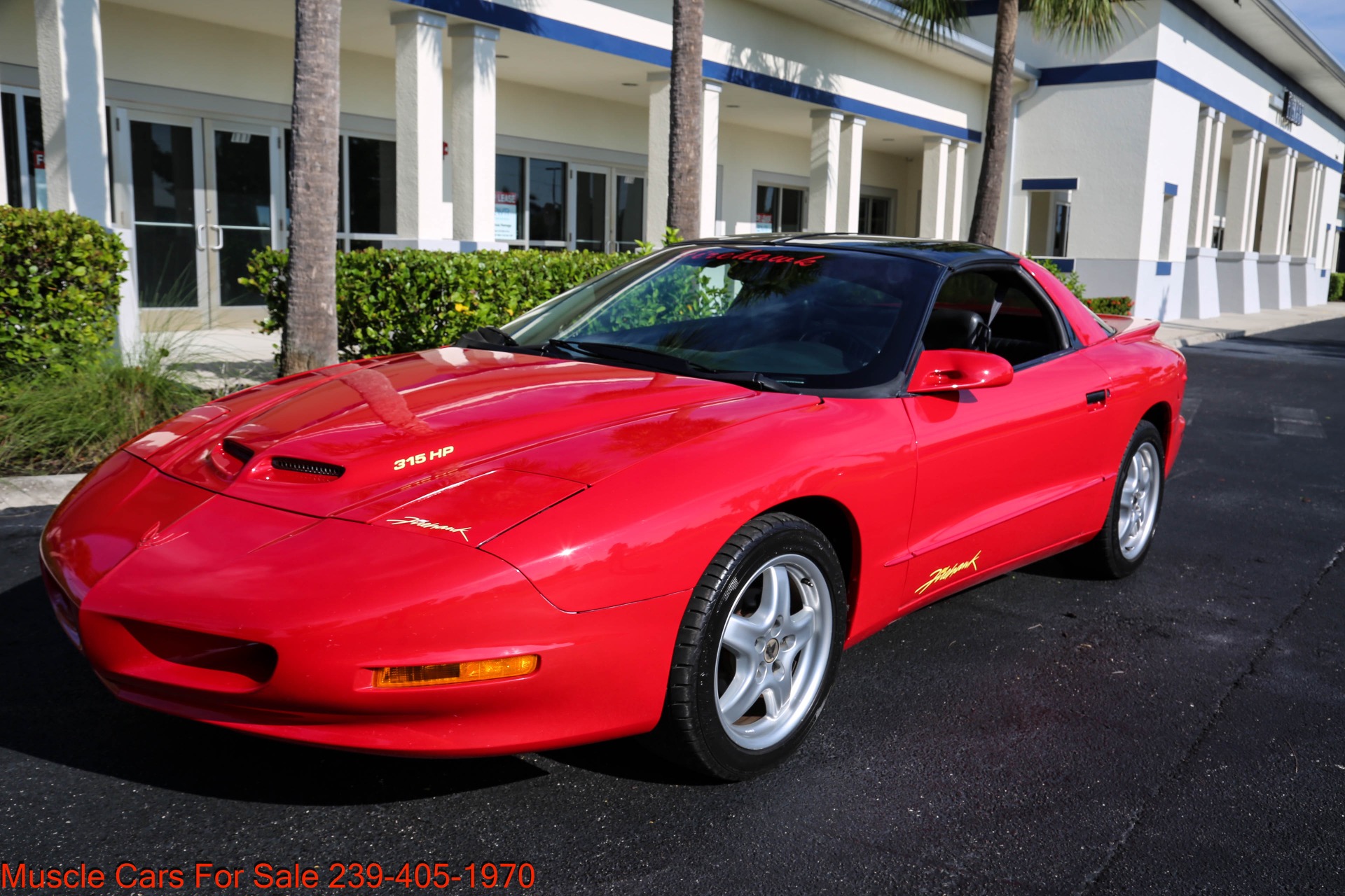 Used 1995 Pontiac Firebird FireHawk Fire Hawk for sale Sold at Muscle Cars for Sale Inc. in Fort Myers FL 33912 7