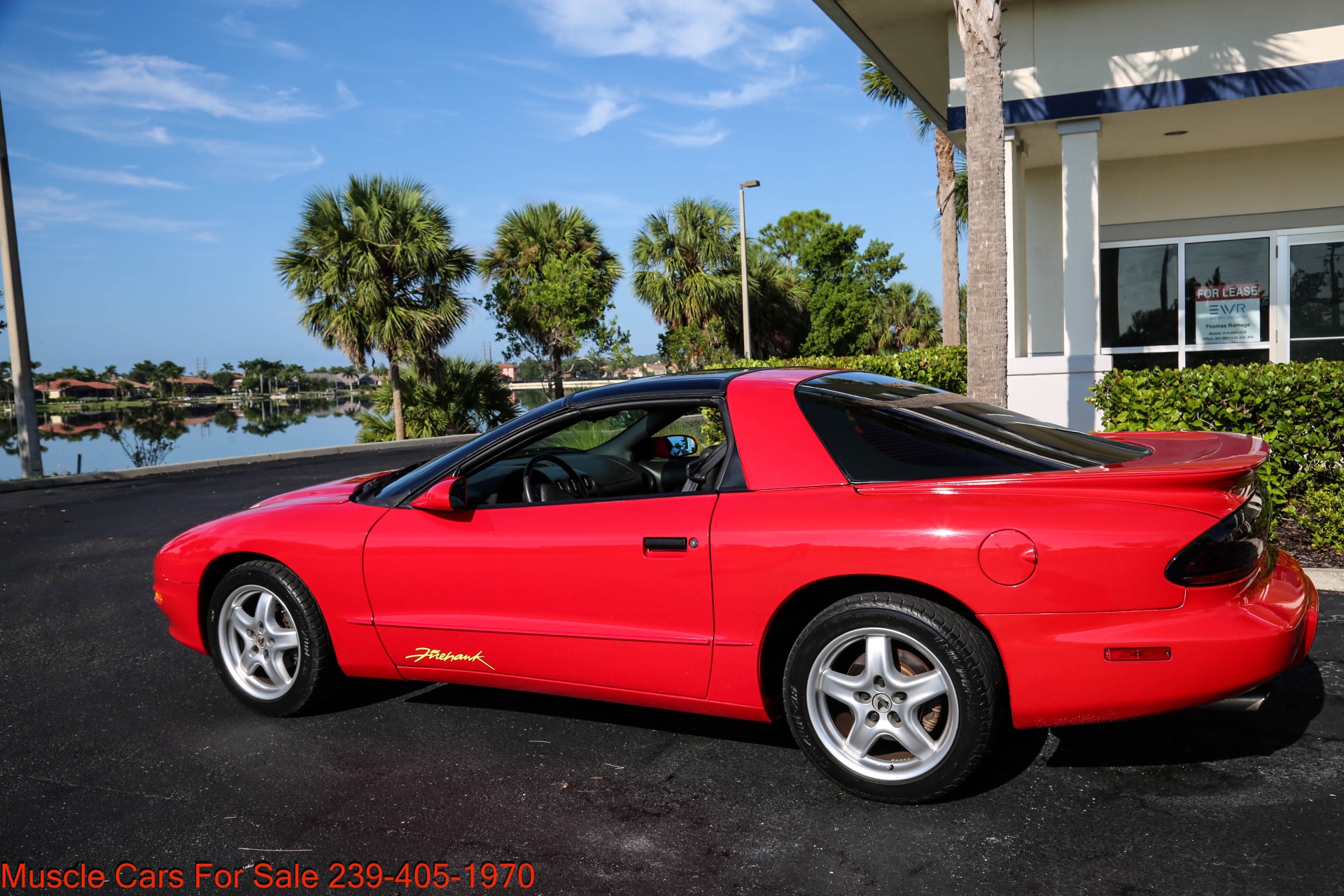 Used 1995 Pontiac Firebird FireHawk Fire Hawk for sale Sold at Muscle Cars for Sale Inc. in Fort Myers FL 33912 8