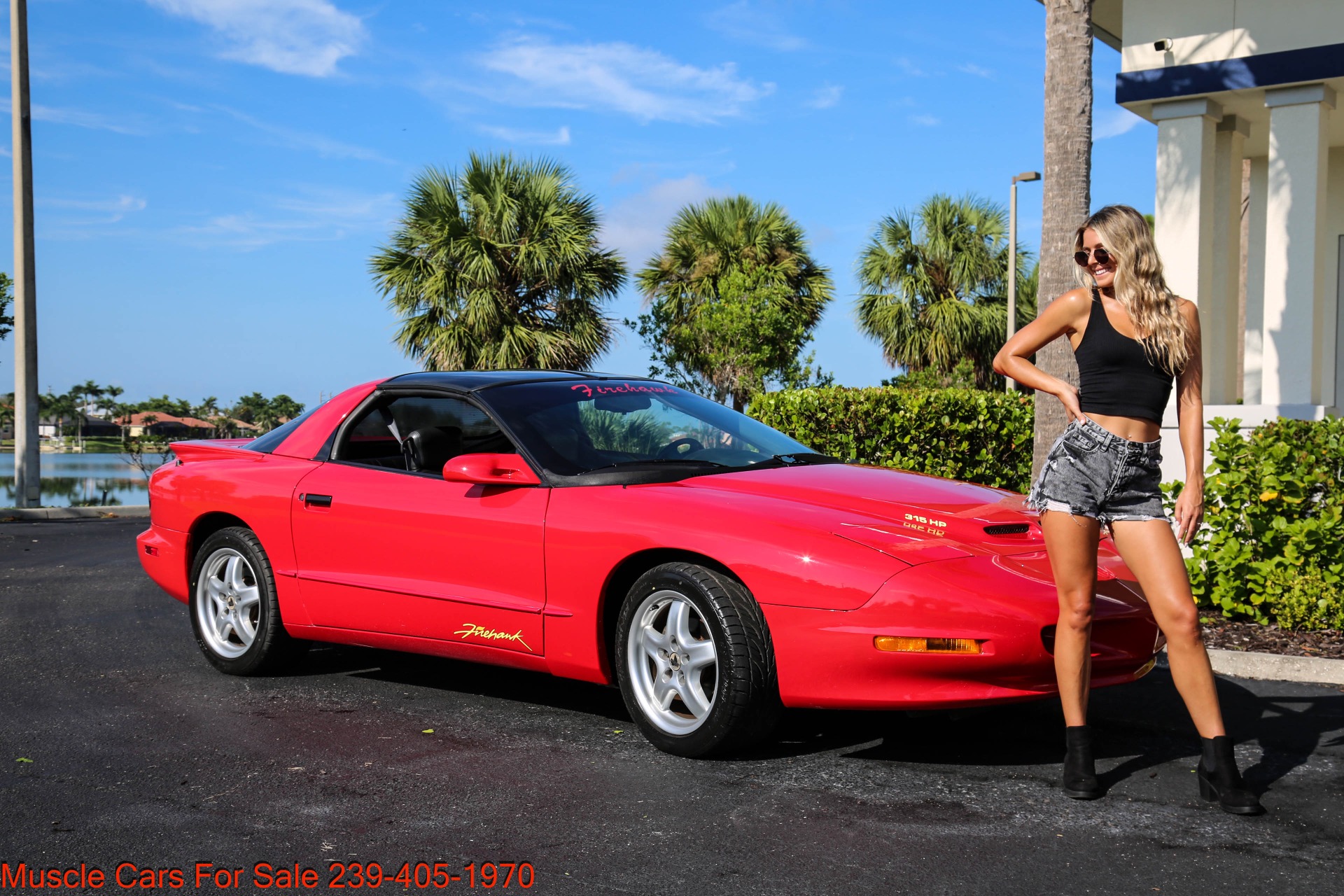 Used 1995 Pontiac Firebird FireHawk Fire Hawk for sale Sold at Muscle Cars for Sale Inc. in Fort Myers FL 33912 1