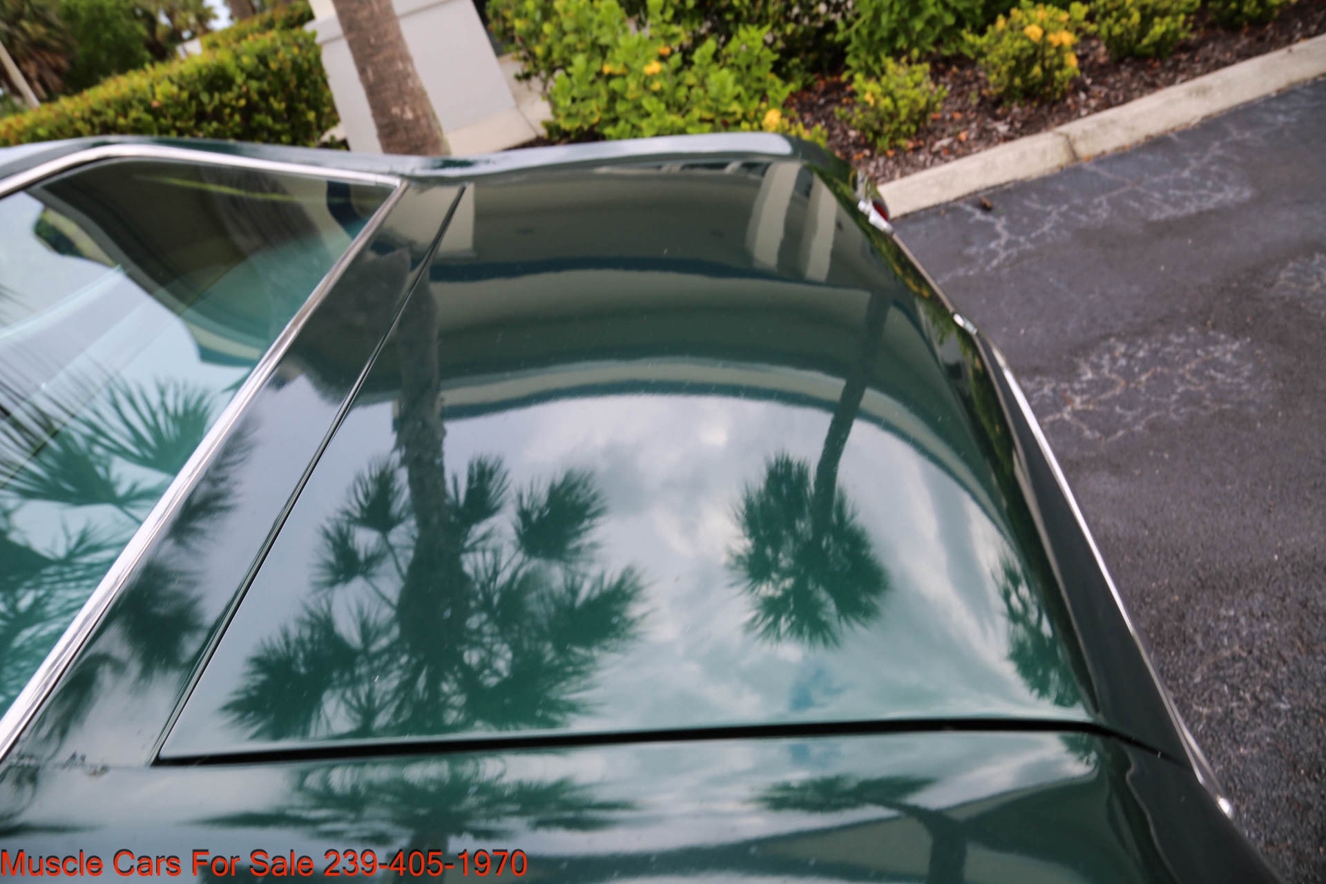 Used 1971 Chevrolet Malibu V8 Auto for sale $28,500 at Muscle Cars for Sale Inc. in Fort Myers FL 33912 7