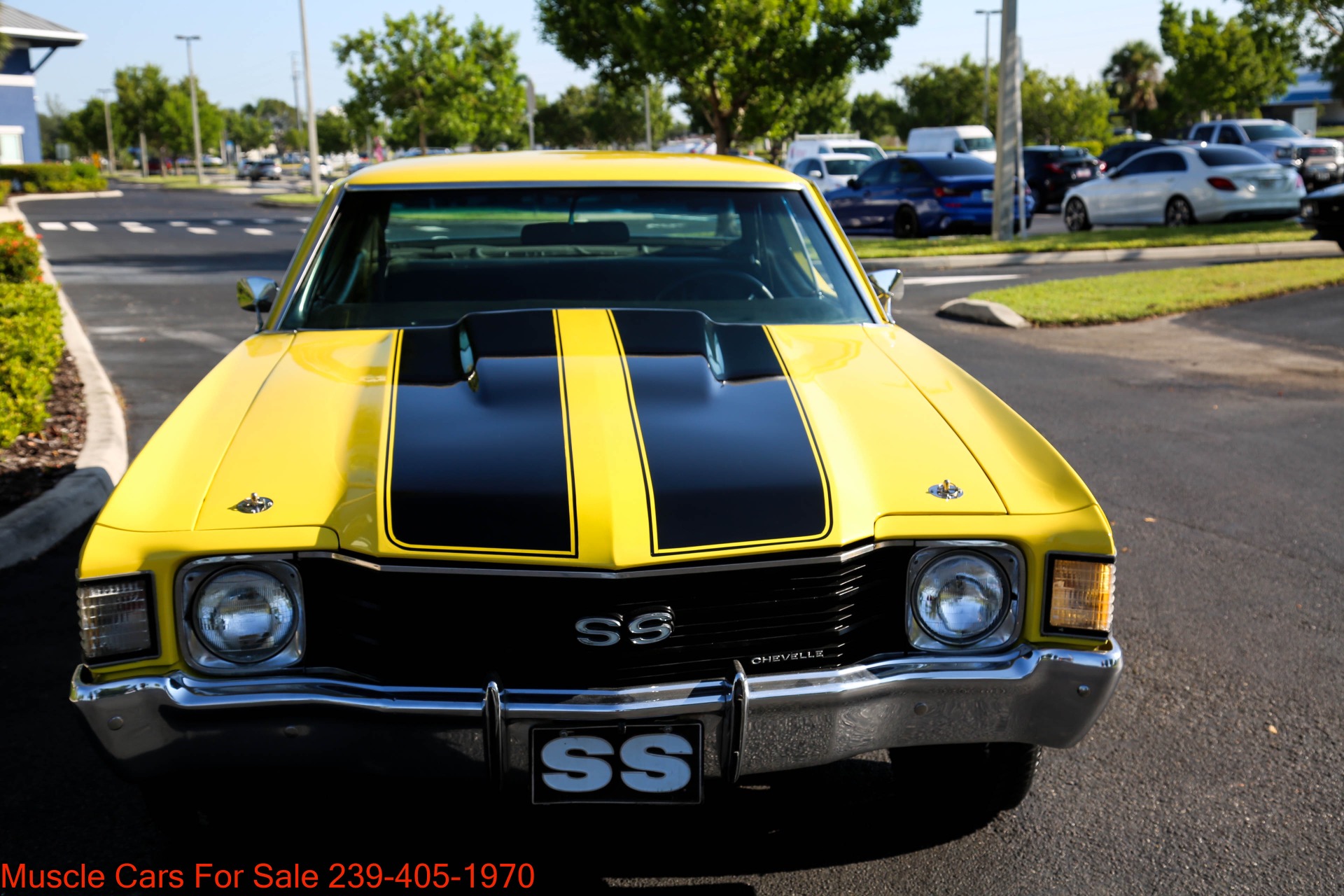 Used 1972 Chevrolet Chevelle SS V8 Auto for sale $34,000 at Muscle Cars for Sale Inc. in Fort Myers FL 33912 3