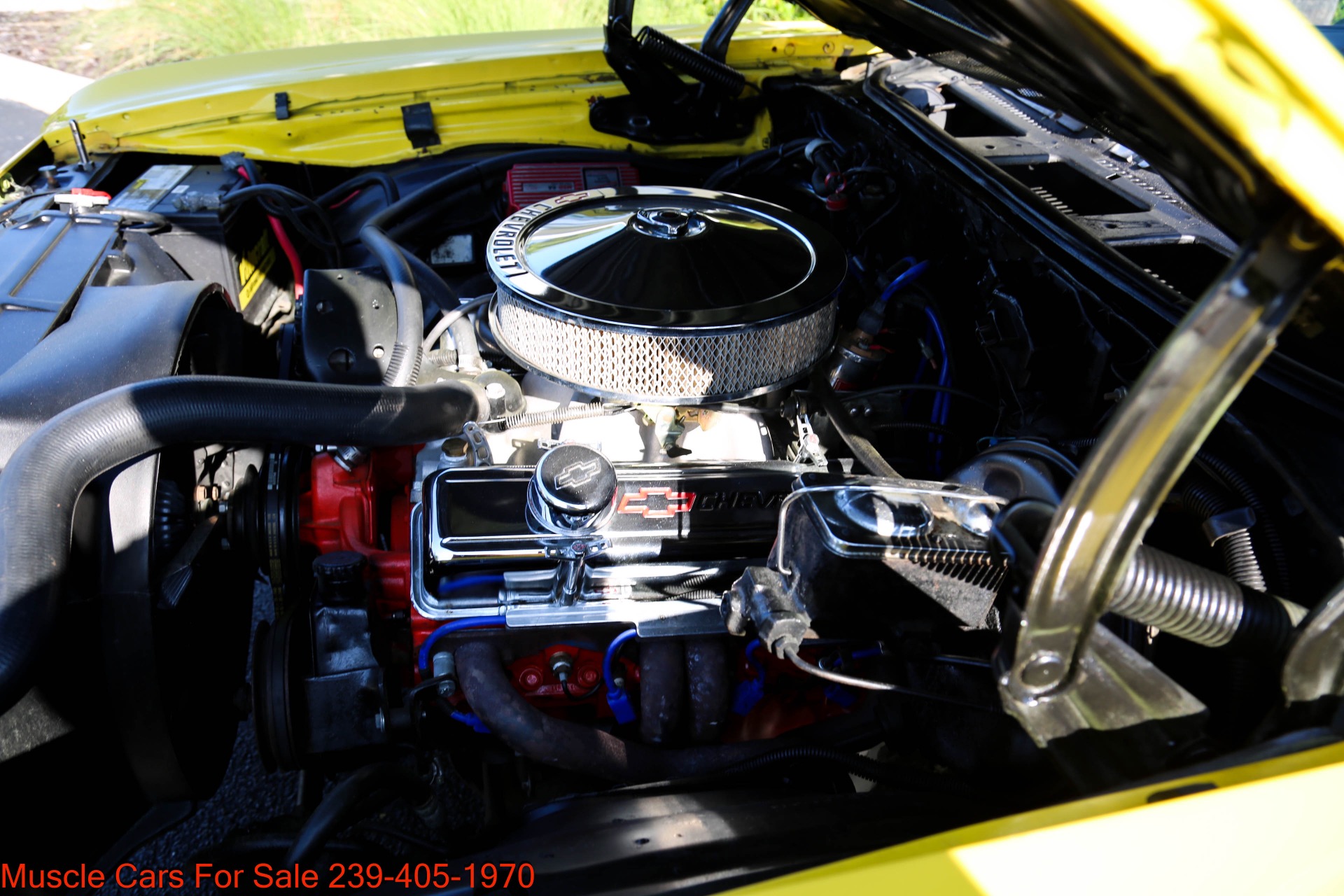 Used 1972 Chevrolet Chevelle SS V8 Auto for sale $34,000 at Muscle Cars for Sale Inc. in Fort Myers FL 33912 5
