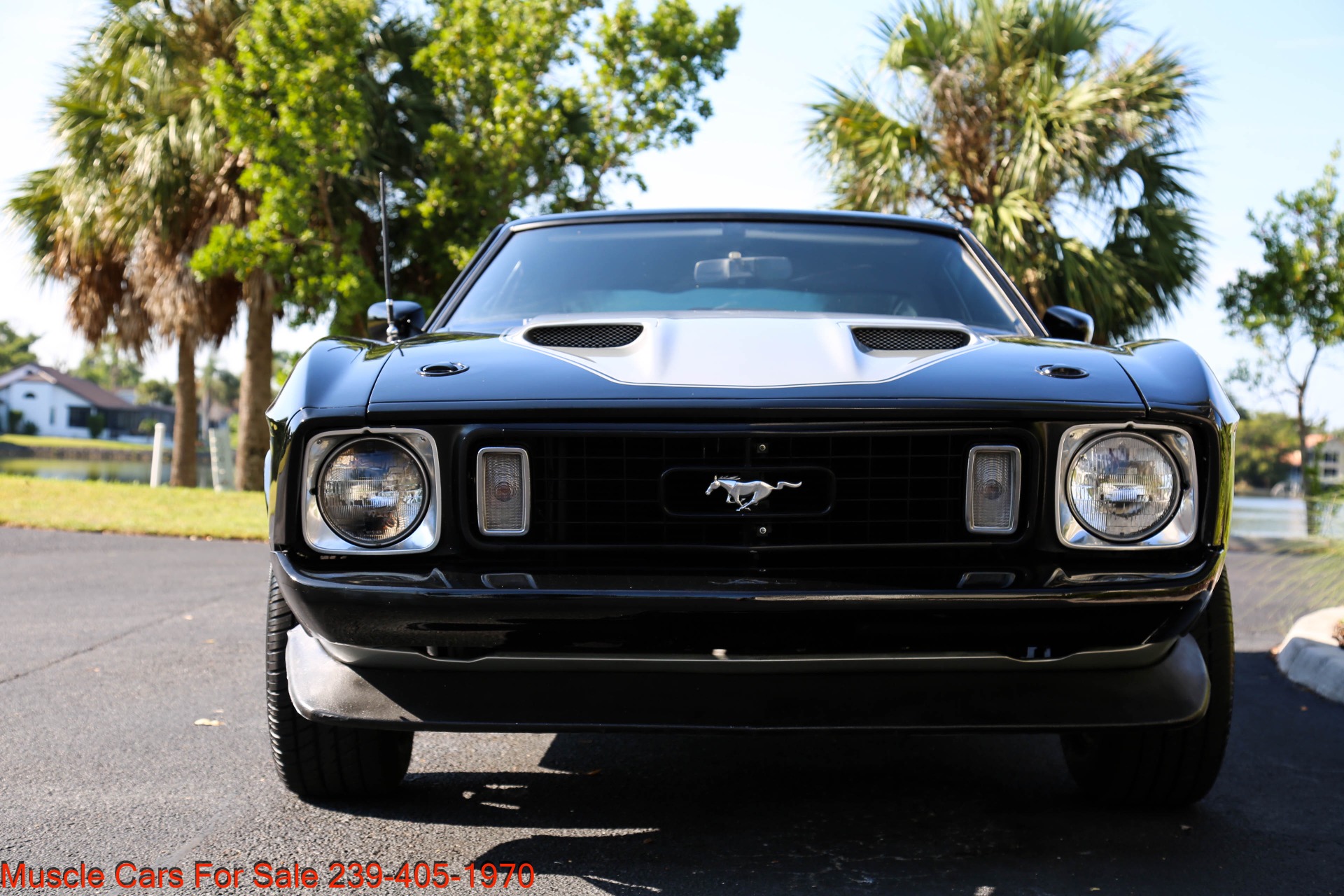 Used 1973 Ford Mustang Mach1 for sale $32,500 at Muscle Cars for Sale Inc. in Fort Myers FL 33912 4