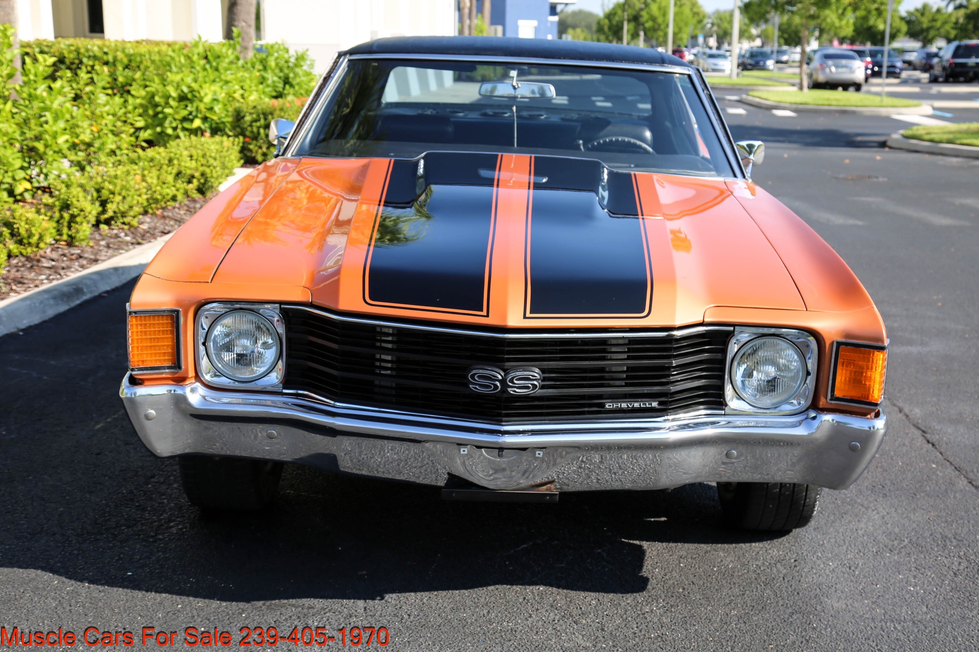 Used 1972 Chevrolet Chevelle V8 Auto for sale Sold at Muscle Cars for Sale Inc. in Fort Myers FL 33912 3