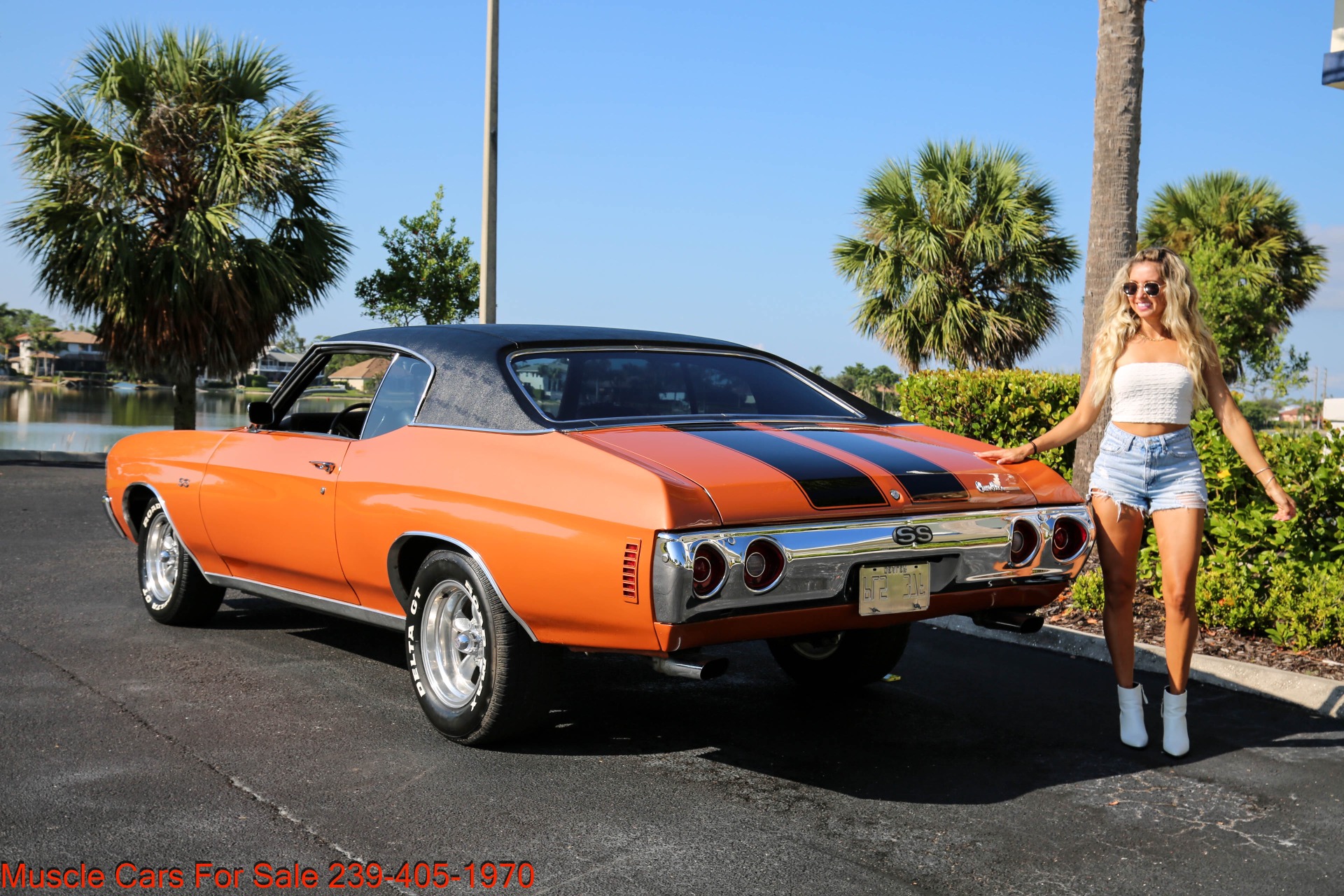Used 1972 Chevrolet Chevelle V8 Auto for sale Sold at Muscle Cars for Sale Inc. in Fort Myers FL 33912 6