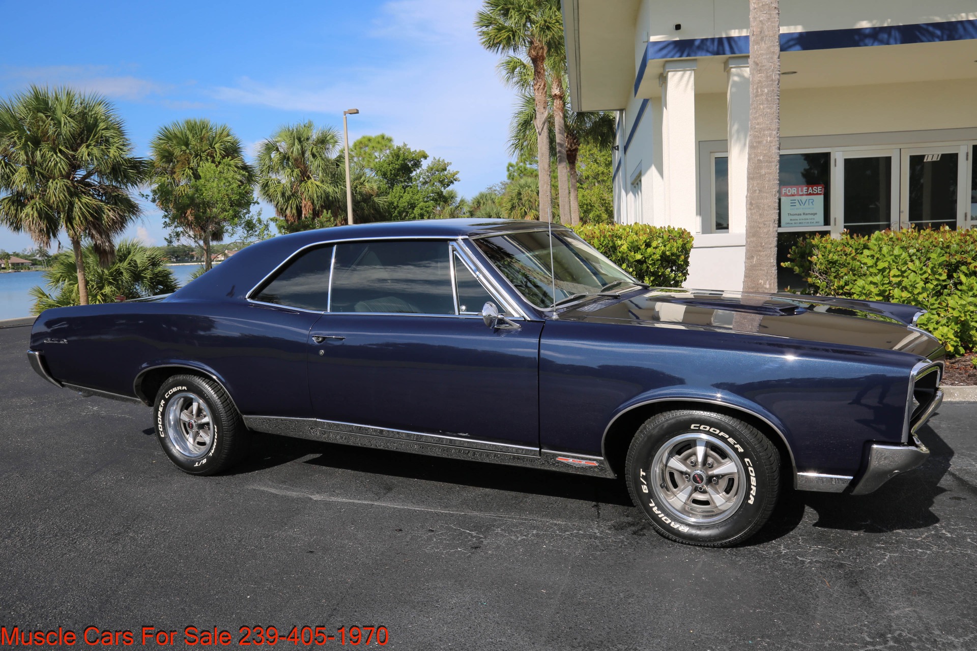 Used 1967 Pontiac GTO 400 Manual AC for sale Sold at Muscle Cars for Sale Inc. in Fort Myers FL 33912 3
