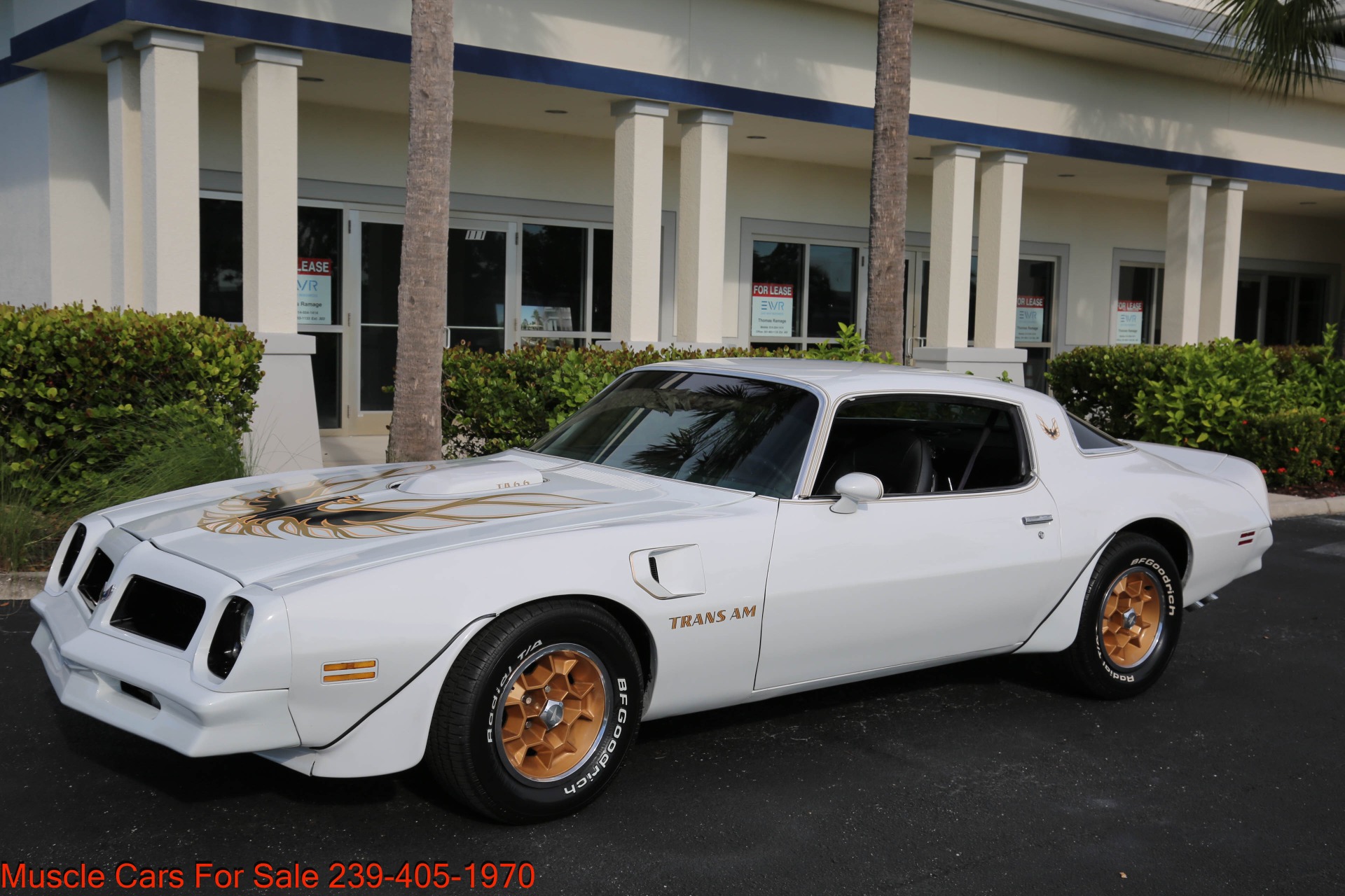 Used 1976 Pontiac Trans Am Trans AM 6.6 for sale $32,000 at Muscle Cars for Sale Inc. in Fort Myers FL 33912 3