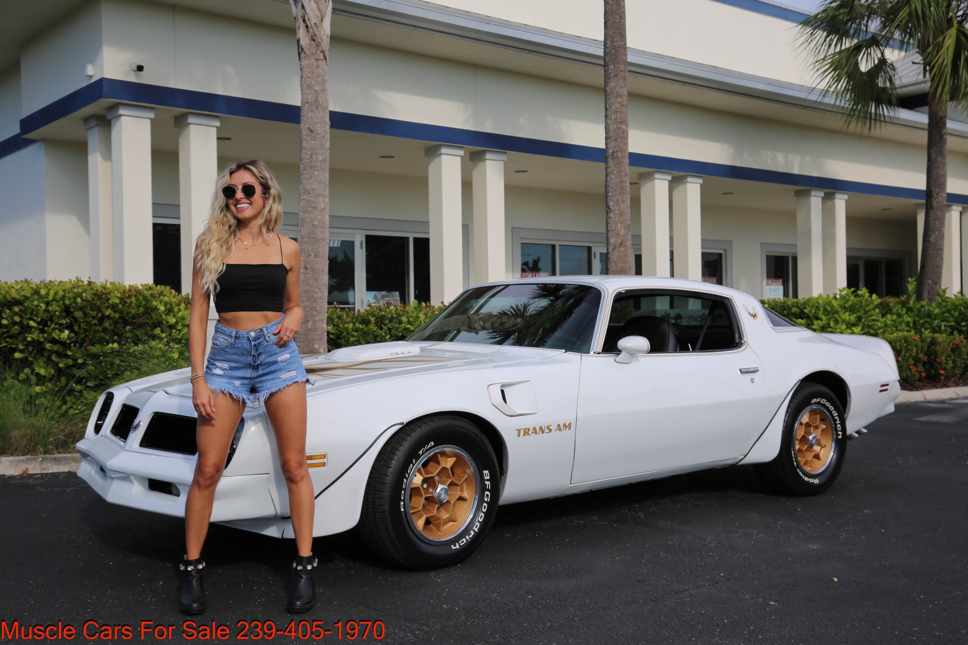 Used 1976 Pontiac Trans Am Trans AM 6.6 for sale $32,000 at Muscle Cars for Sale Inc. in Fort Myers FL 33912 1