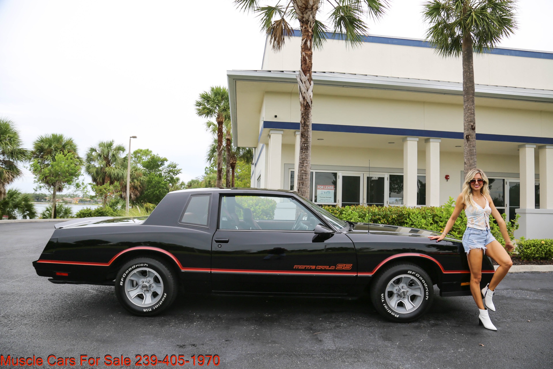Used 1986 Chevrolet Monte Carlo SS for sale $26,500 at Muscle Cars for Sale Inc. in Fort Myers FL 33912 2