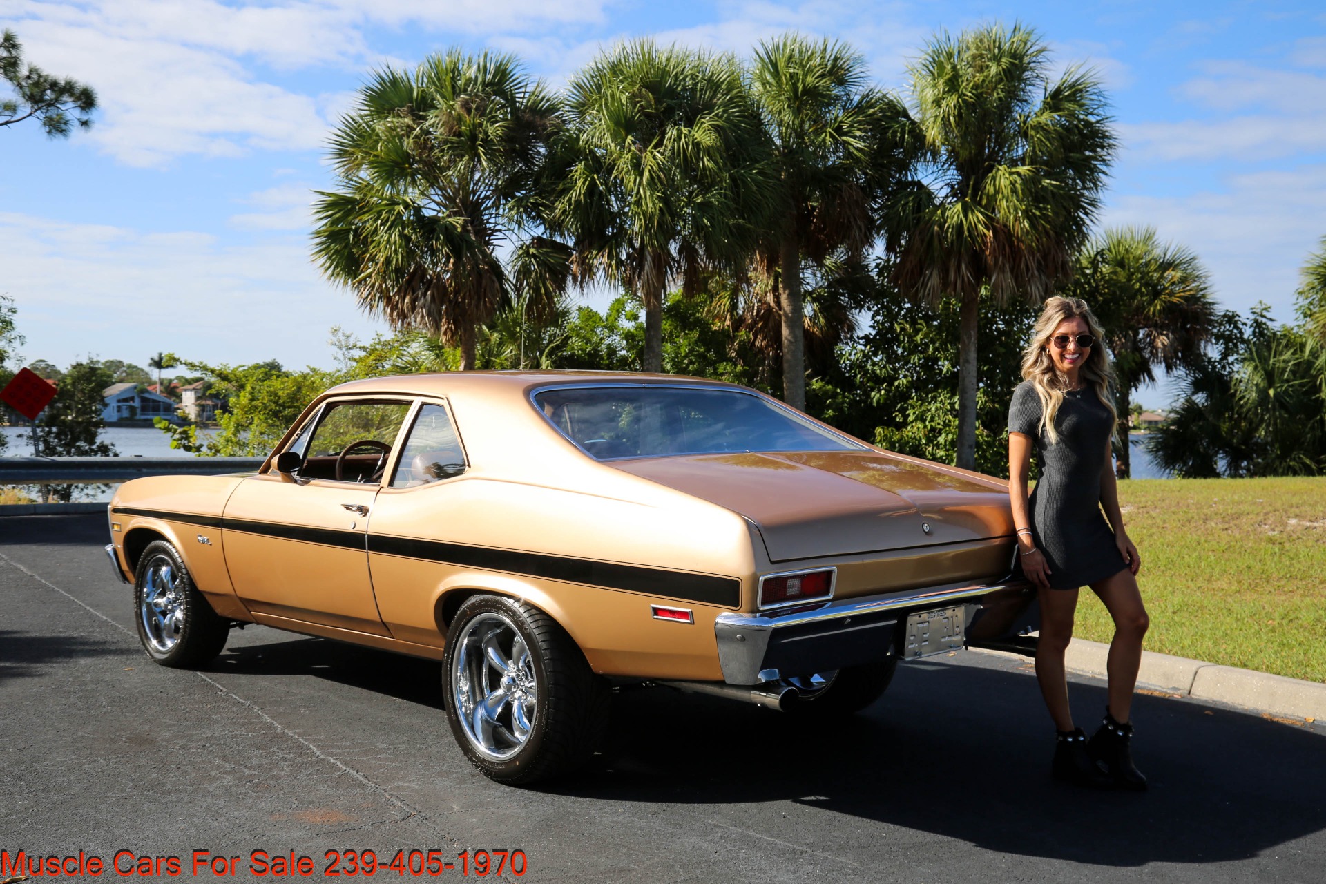 Used 1971 Chevrolet Nova V8 Auto for sale $25,500 at Muscle Cars for Sale Inc. in Fort Myers FL 33912 3