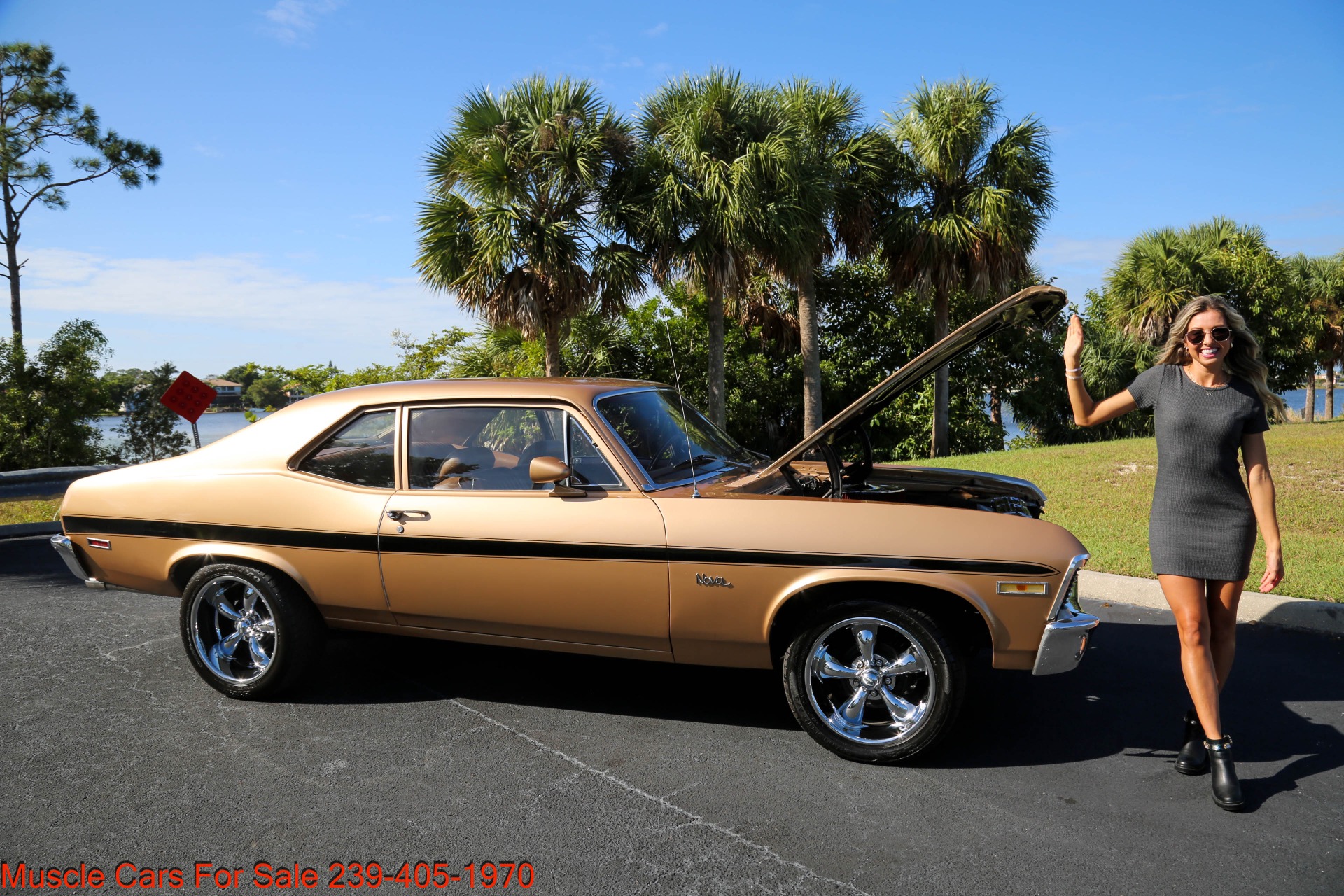 Used 1971 Chevrolet Nova V8 Auto for sale $25,500 at Muscle Cars for Sale Inc. in Fort Myers FL 33912 4