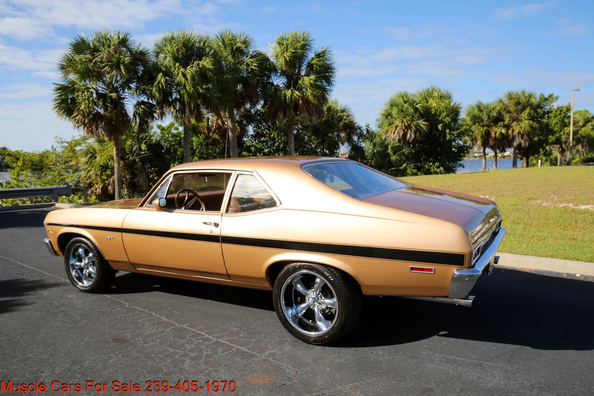 Used 1971 Chevrolet Nova V8 Auto for sale $25,500 at Muscle Cars for Sale Inc. in Fort Myers FL 33912 5