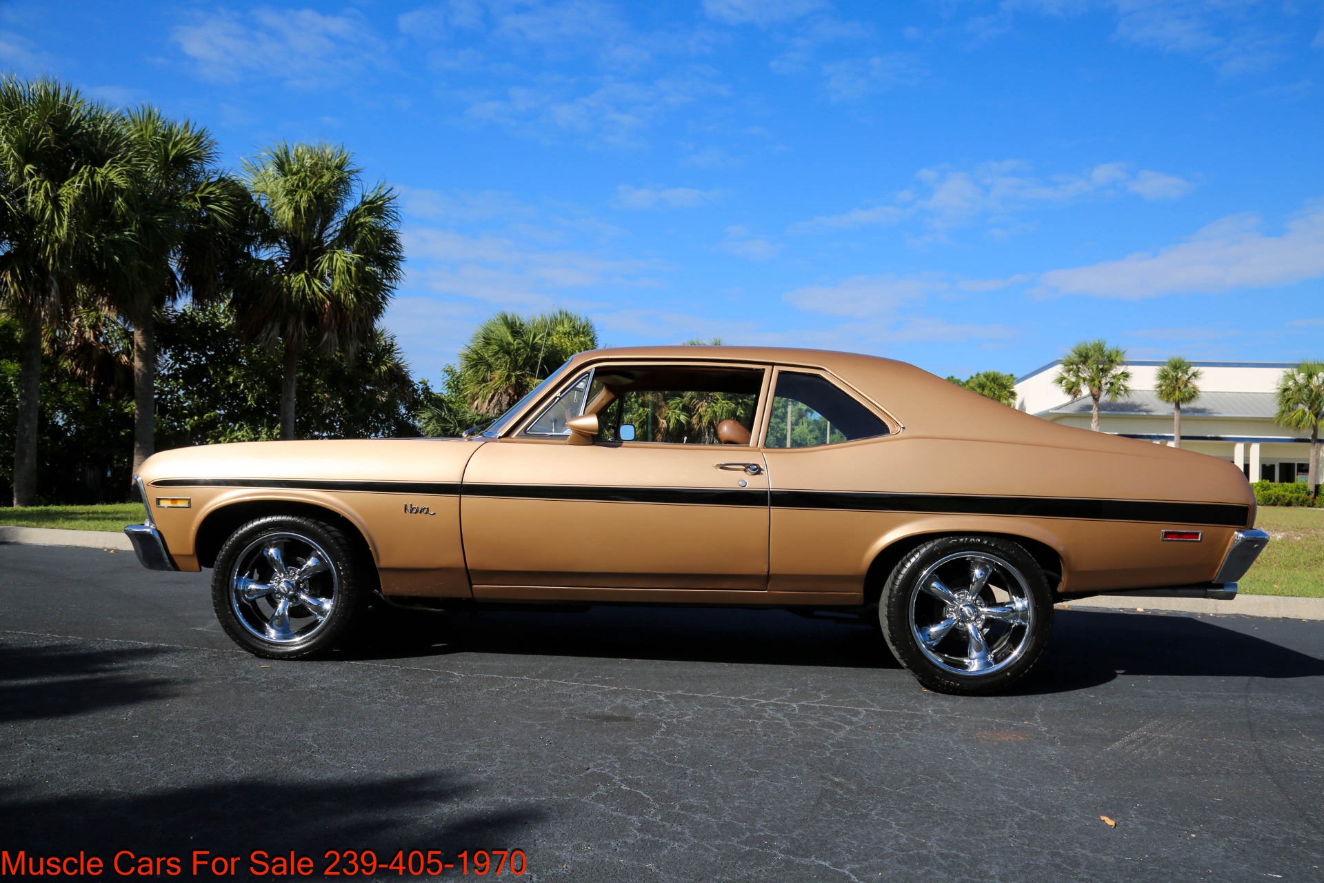 Used 1971 Chevrolet Nova V8 Auto for sale $25,500 at Muscle Cars for Sale Inc. in Fort Myers FL 33912 6